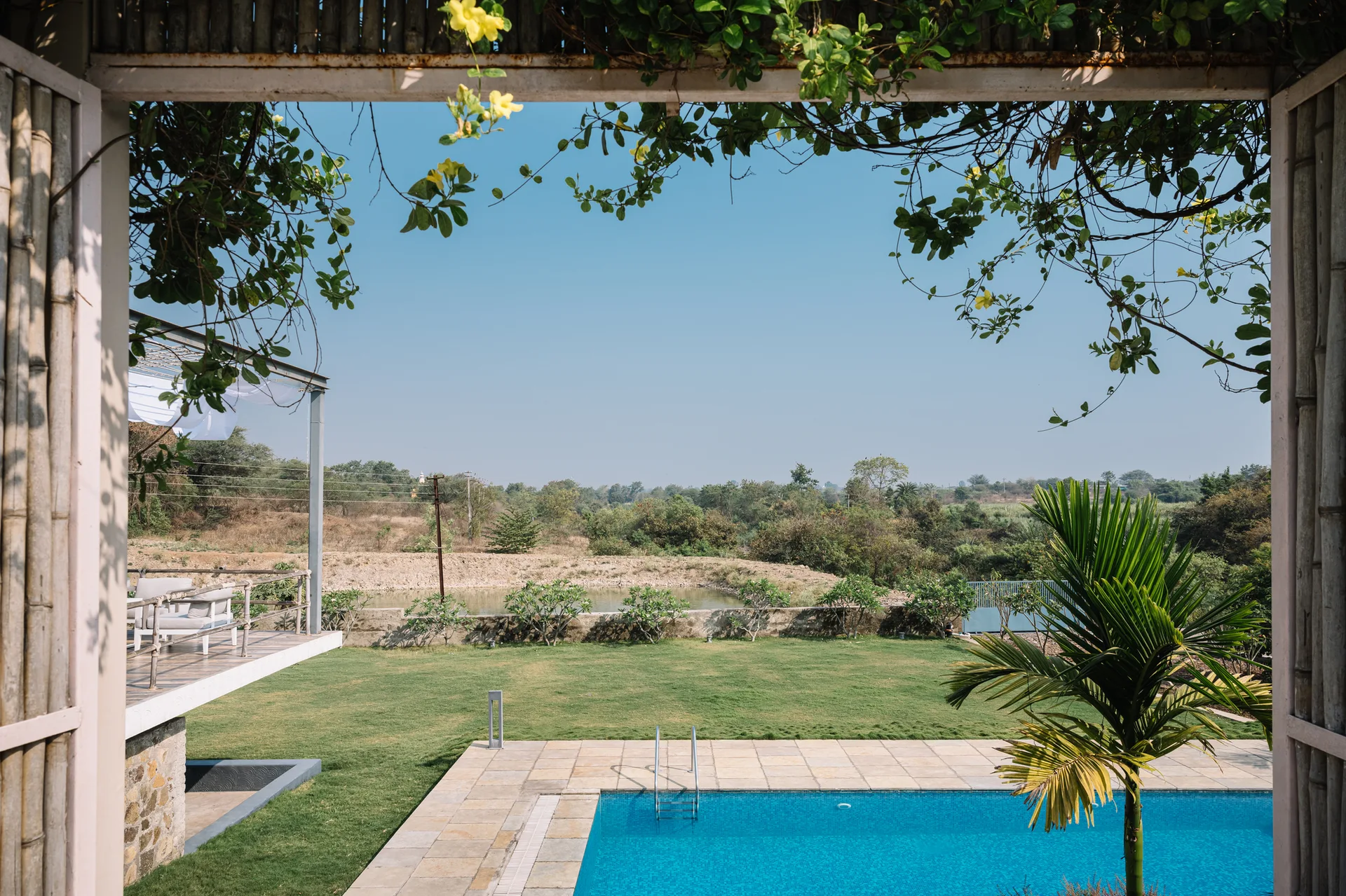 A blue swimming pool surrounded by beige stone paving and a green lawn, viewed through a natural bamboo frame with green vines.