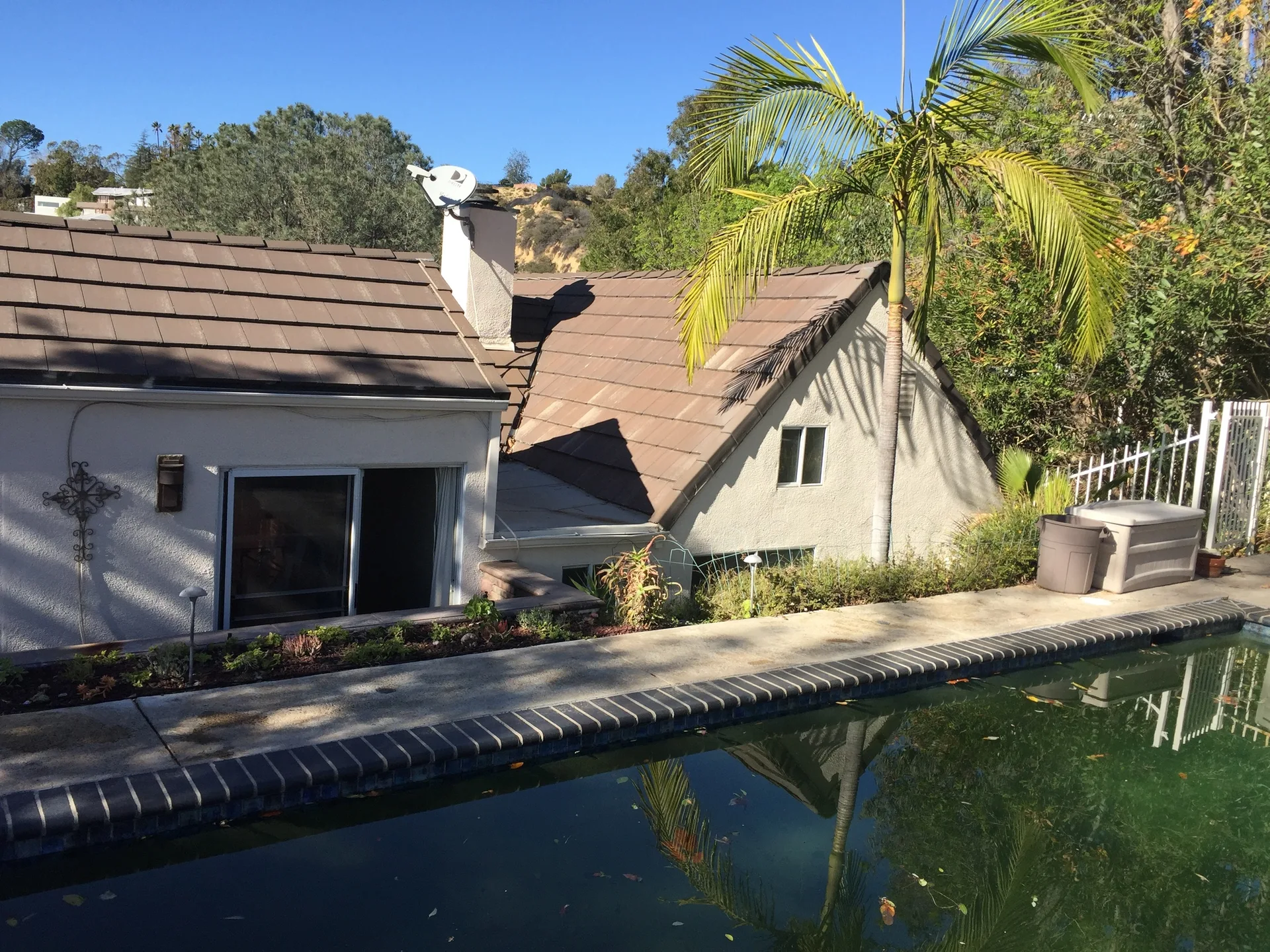A backyard swimming pool with dark tile coping sits beside a white stucco house featuring a brown tiled roof and a palm tree.