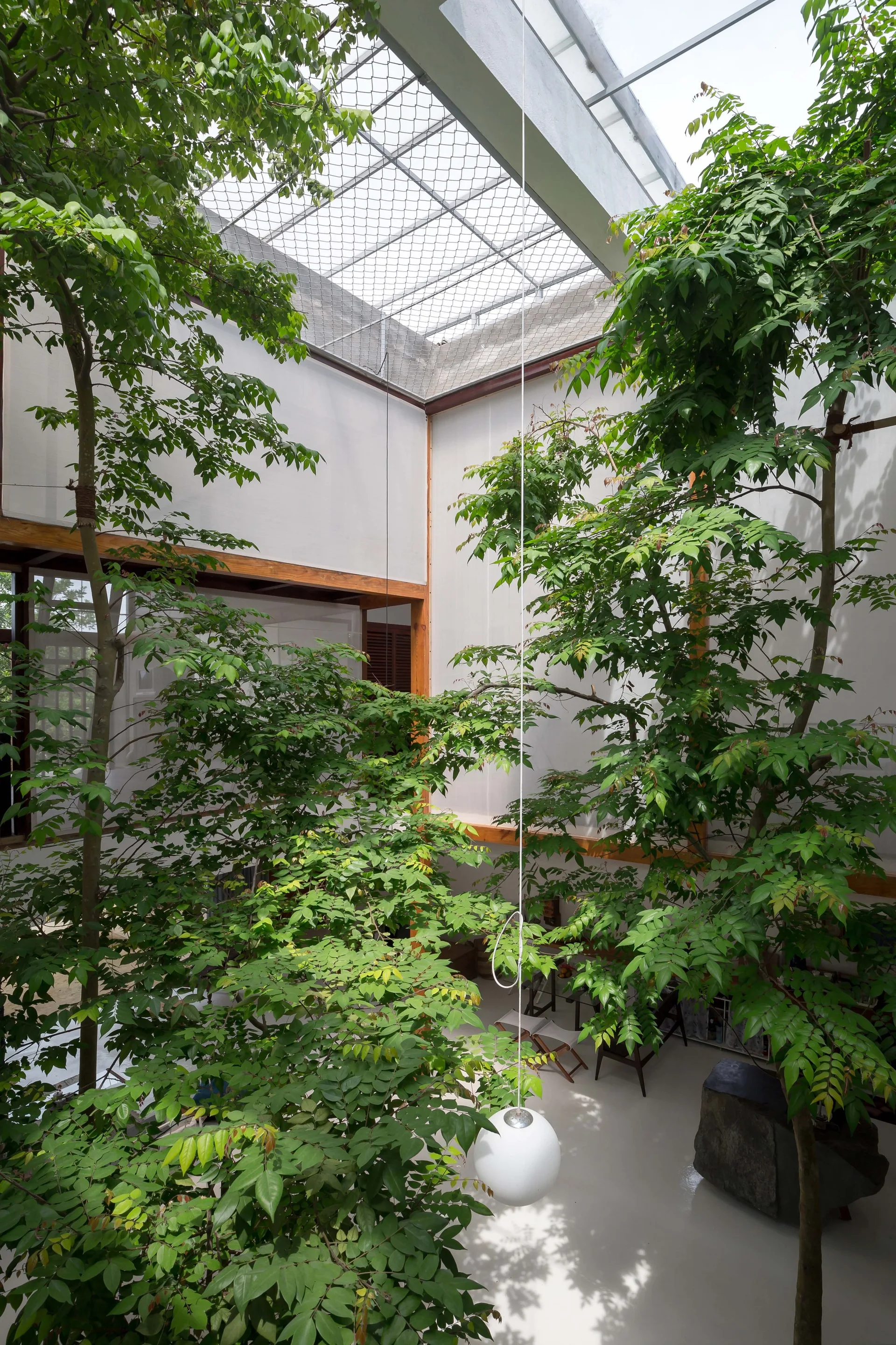 An indoor atrium featuring tall green trees, white walls, and a large overhead glass skylight with a metal mesh screen.