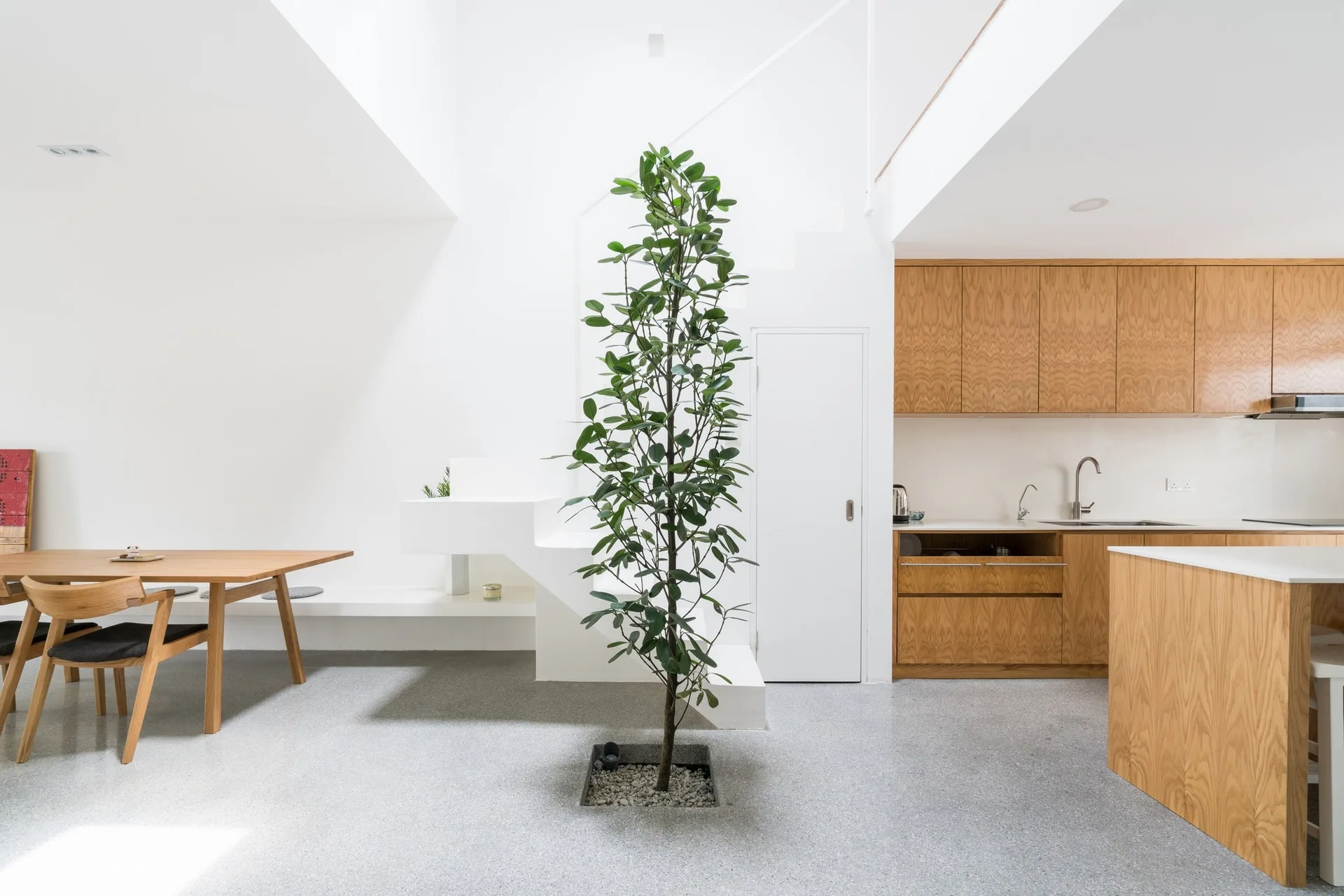 A minimalist open-plan kitchen featuring wood cabinets, a white staircase, and a central indoor tree planted in a square concrete floor cutout.