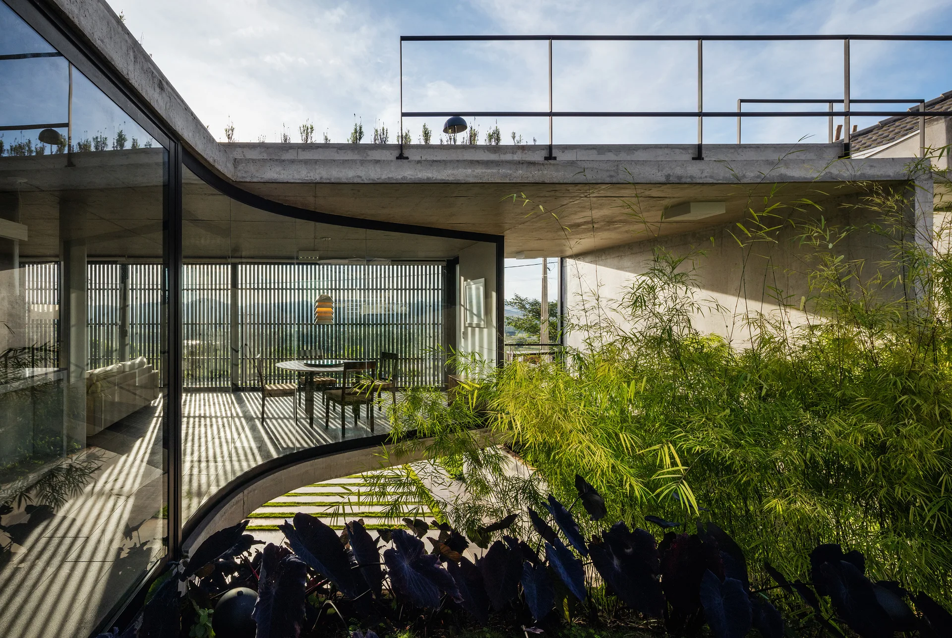A modern concrete home featuring a curved glass wall that looks out onto a dense bamboo garden, with natural sunlight casting linear shadows.