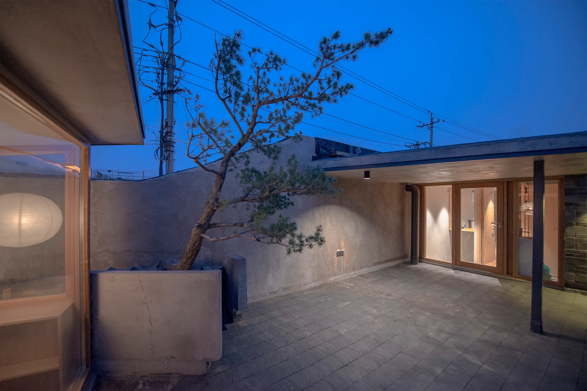 A minimalist outdoor concrete patio features a leaning pine tree in a planter, wood-framed glass doors with warm lighting, and a deep blue dusk sky.