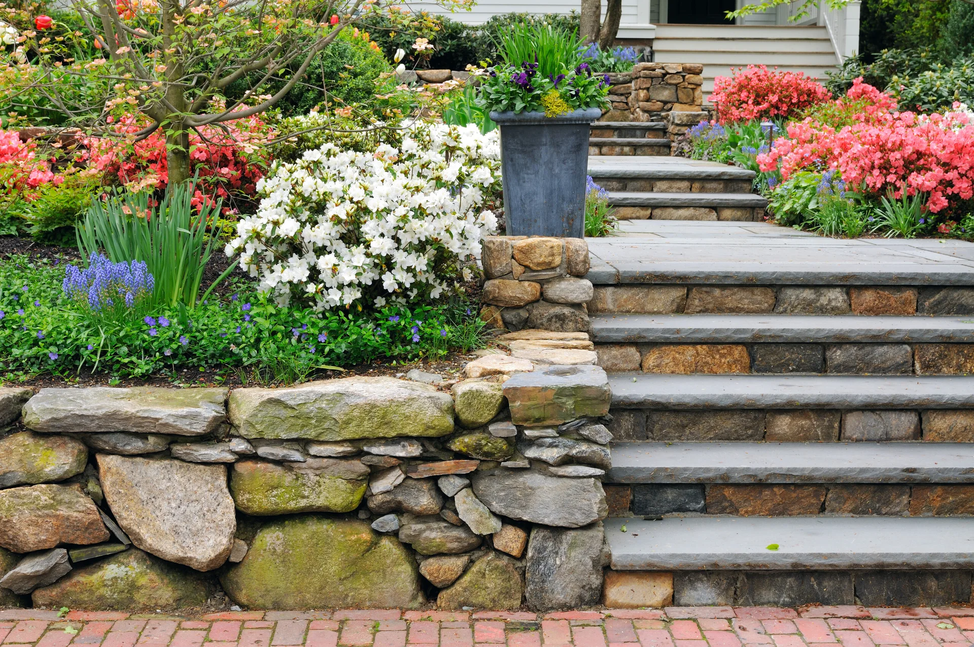 A stone staircase with flat grey treads ascends past a rugged fieldstone retaining wall flanked by white and pink blooming shrubs.