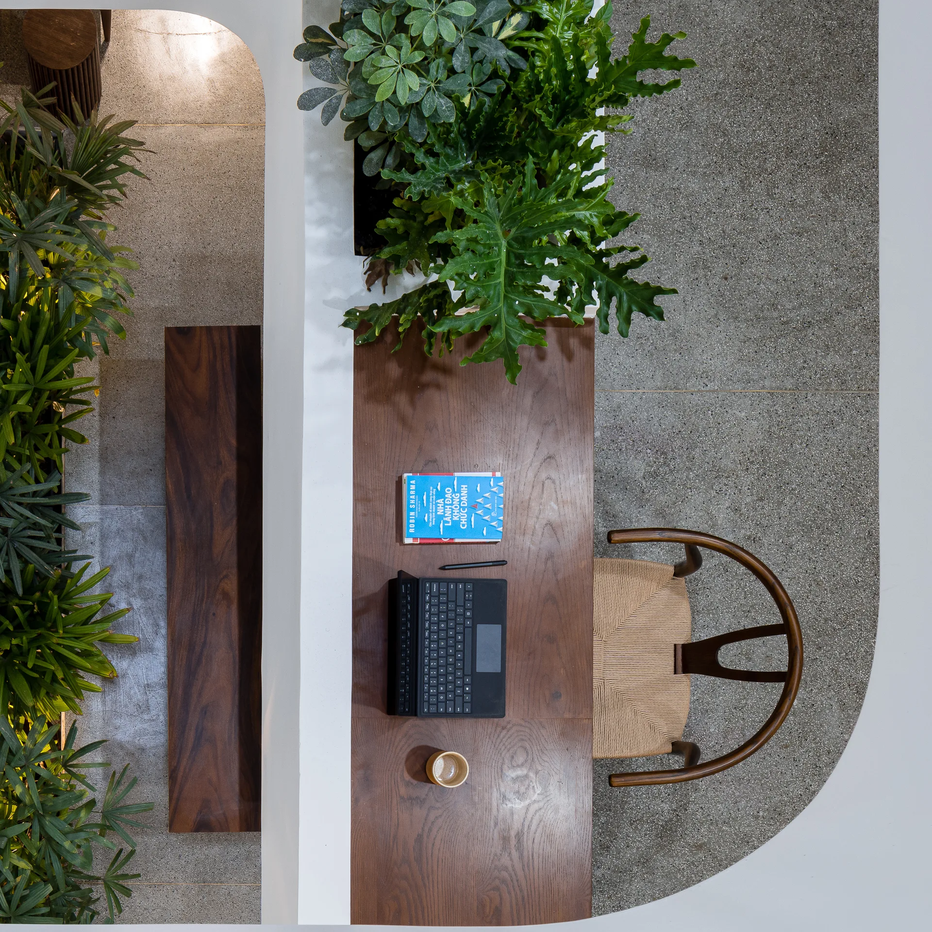 An overhead view of a dark wood desk with a woven wishbone chair, a laptop, and built-in green plants set against a curved white partition wall.