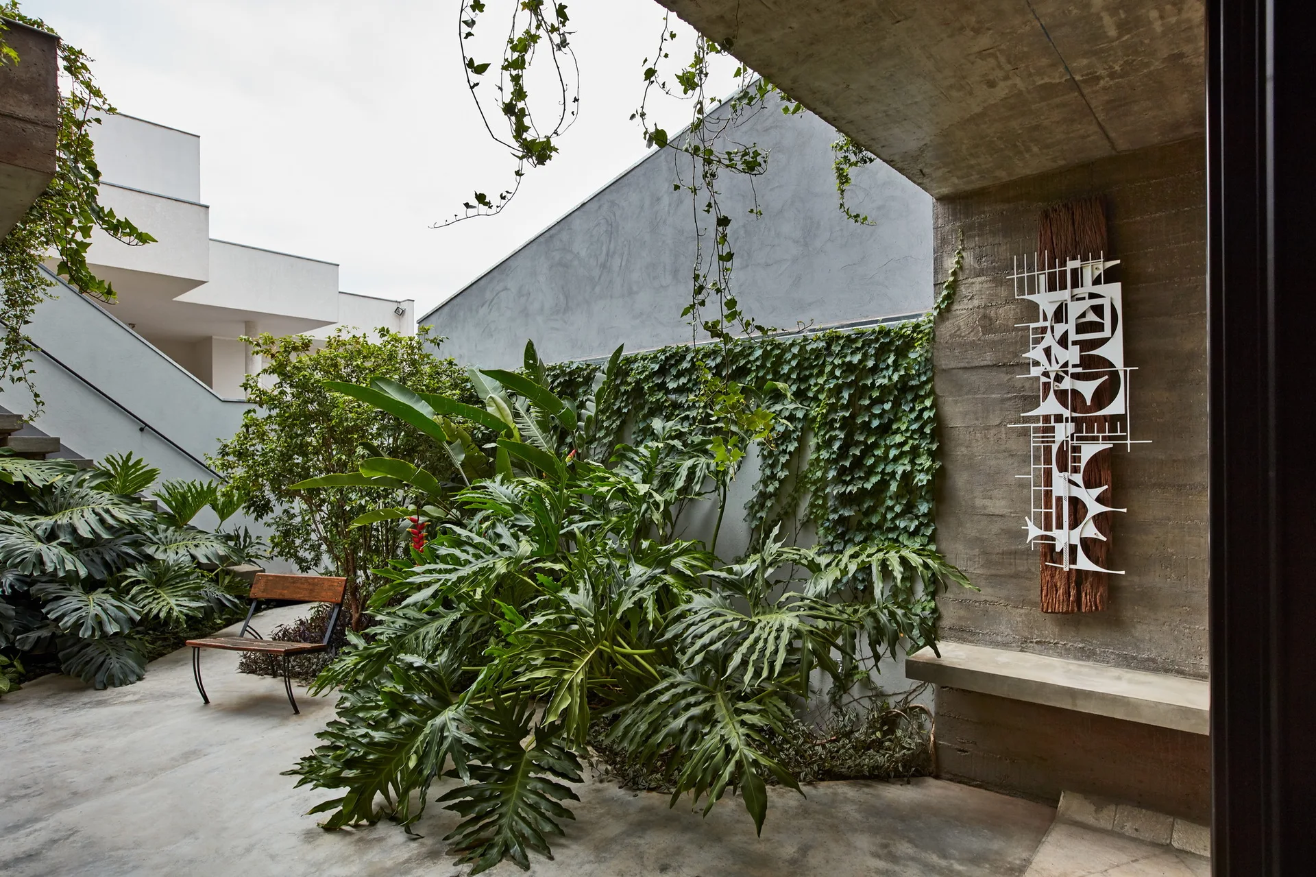 A modern concrete courtyard featuring lush tropical greenery, climbing ivy on a grey wall, a simple wood bench, and an abstract white metal sculpture.