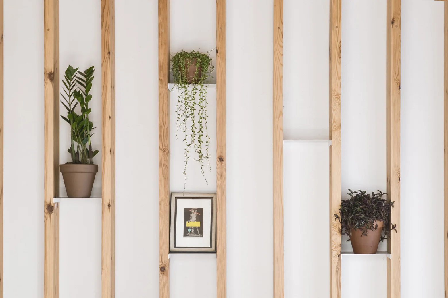 Vertical wood slats mounted on a white wall feature integrated thin white shelves holding green potted plants and a small picture frame.