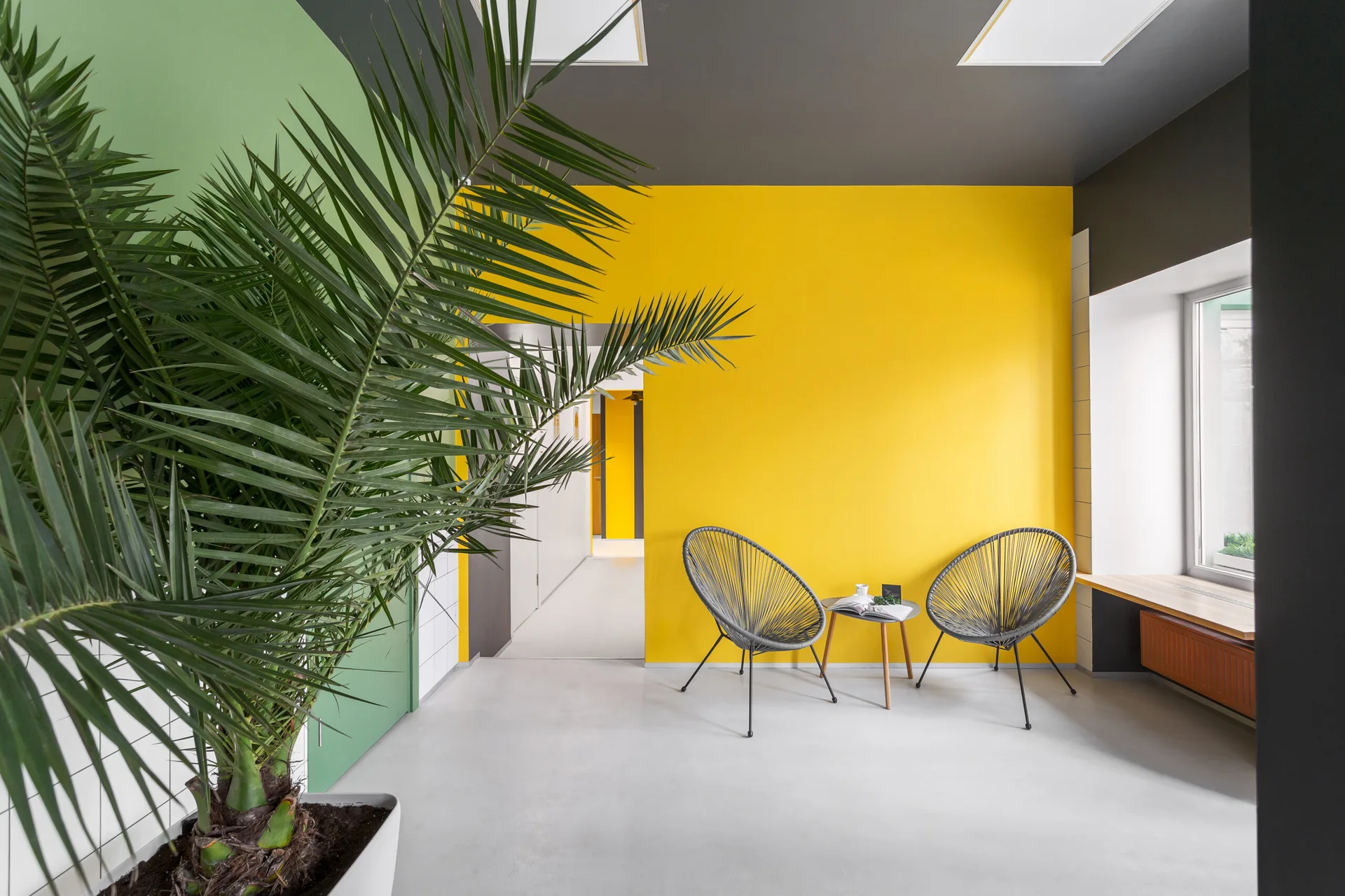 A modern seating area with a bright yellow accent wall, two grey woven Acapulco chairs, a small side table, and a large potted palm plant.