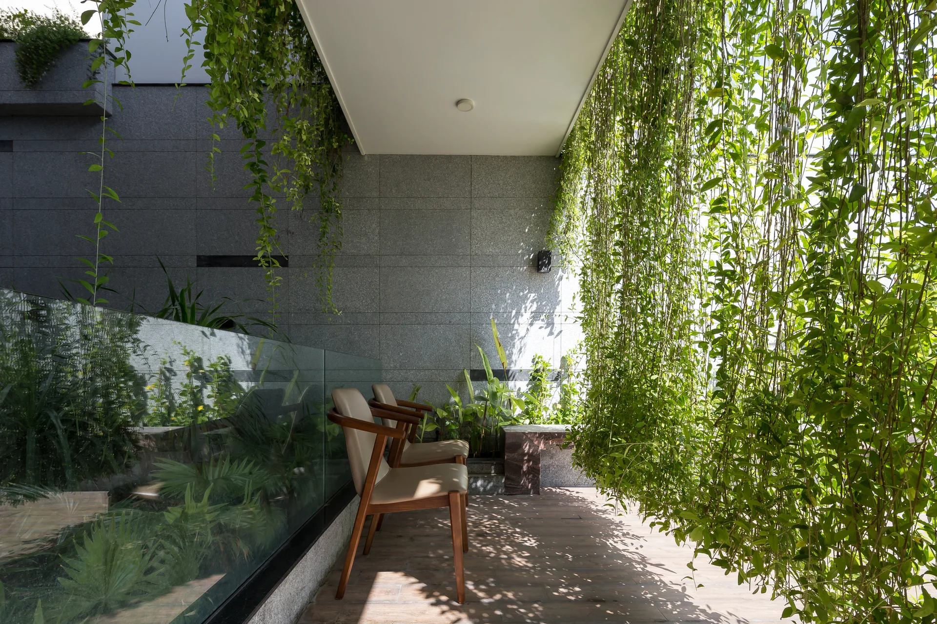 The Sunrise House, AVA architects Viet Nam, Interior, Garden