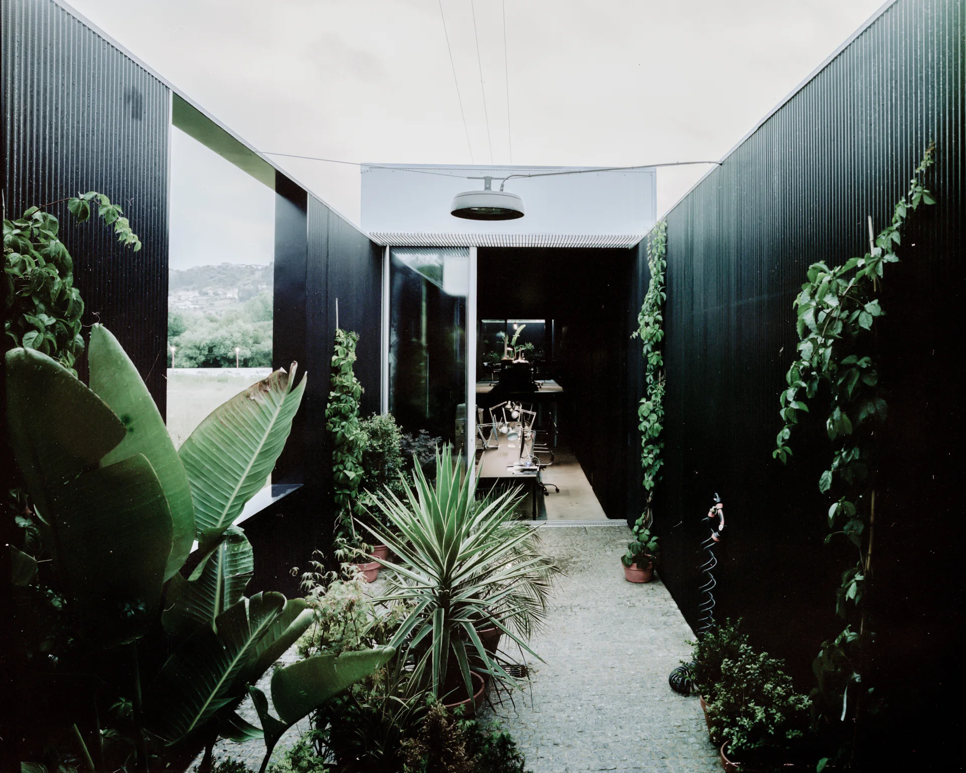 A narrow outdoor courtyard features black corrugated metal walls, stone pavers, potted tropical plants, and green climbing vines.