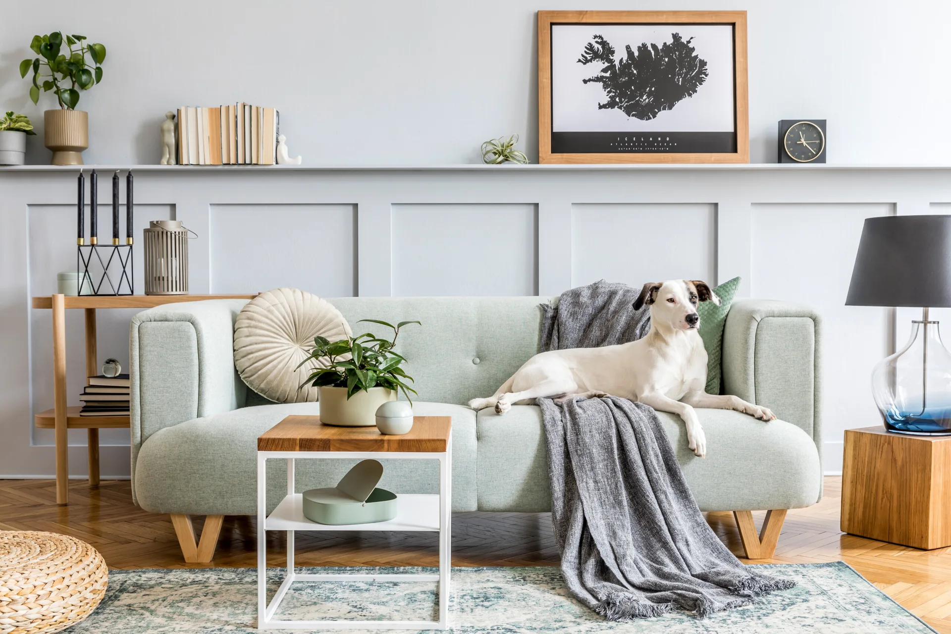 A mint green sofa sits in front of a light grey paneled wall featuring a built-in shelf with books, plants, and a framed map.