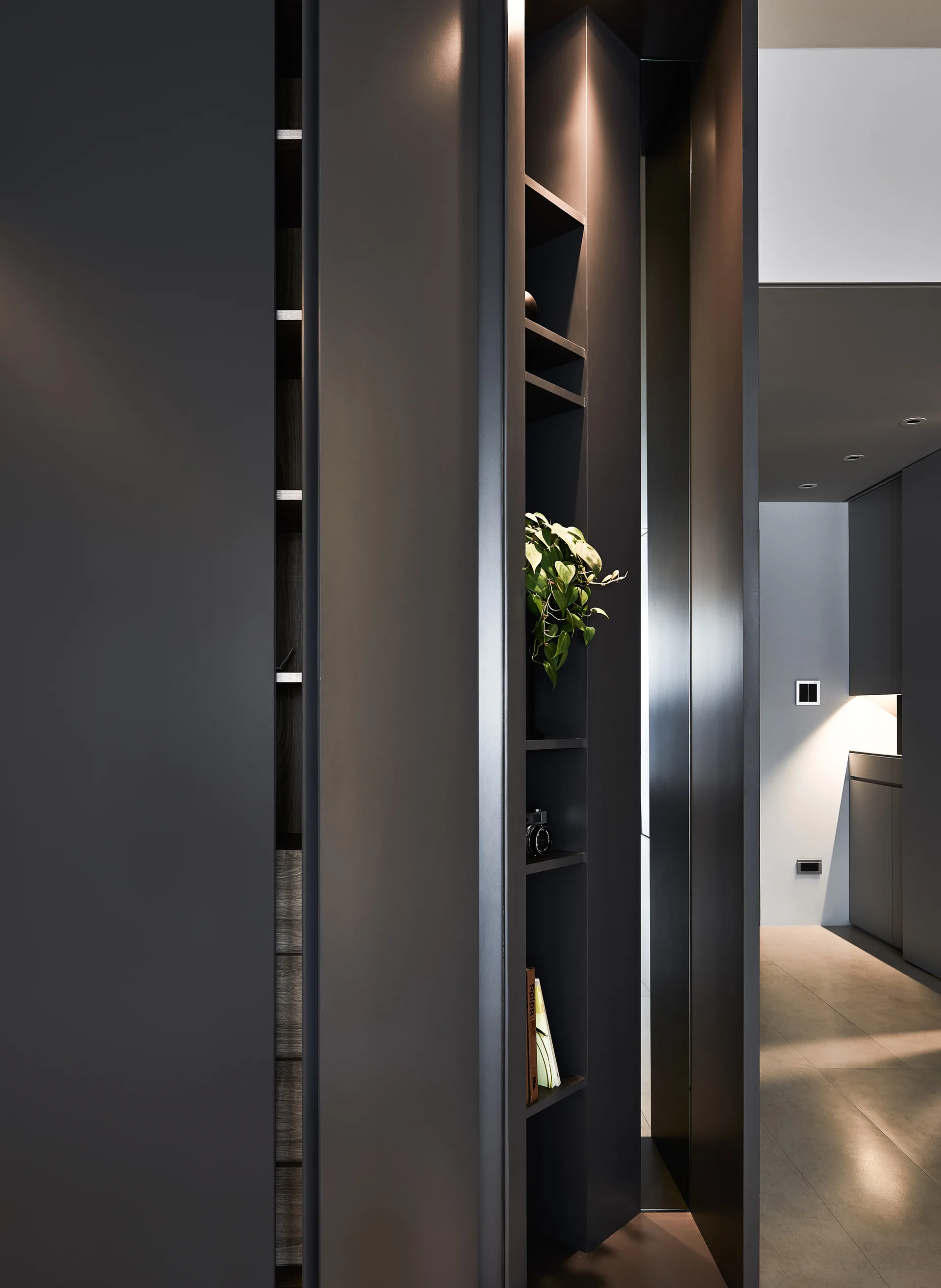 Modern charcoal built-in wall cabinets feature a narrow vertical shelving unit illuminated by recessed spot lighting with a green potted plant.