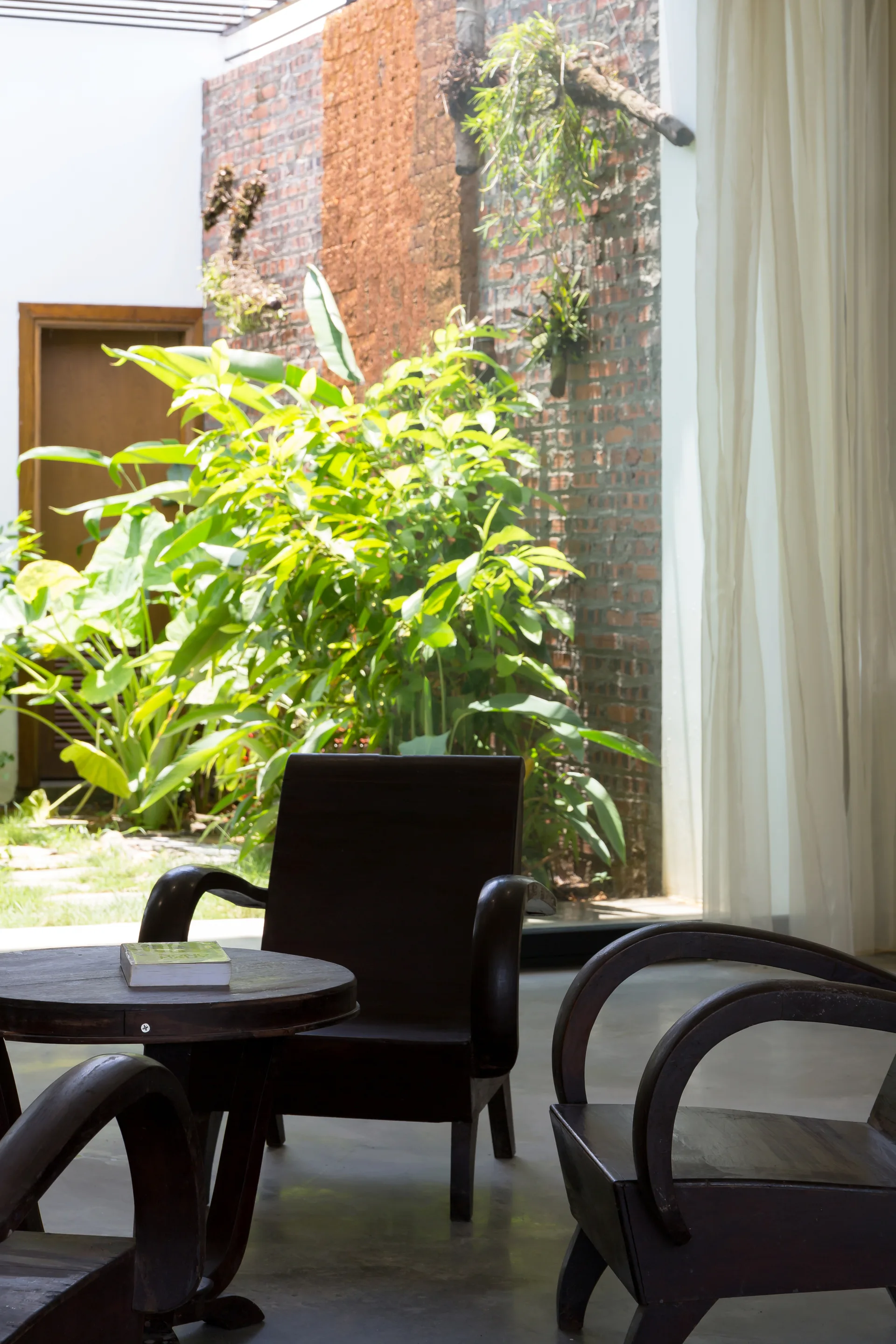 Dark wooden armchairs with curved arms stand on a polished concrete floor next to a sheer white curtain overlooking a plant-filled courtyard.