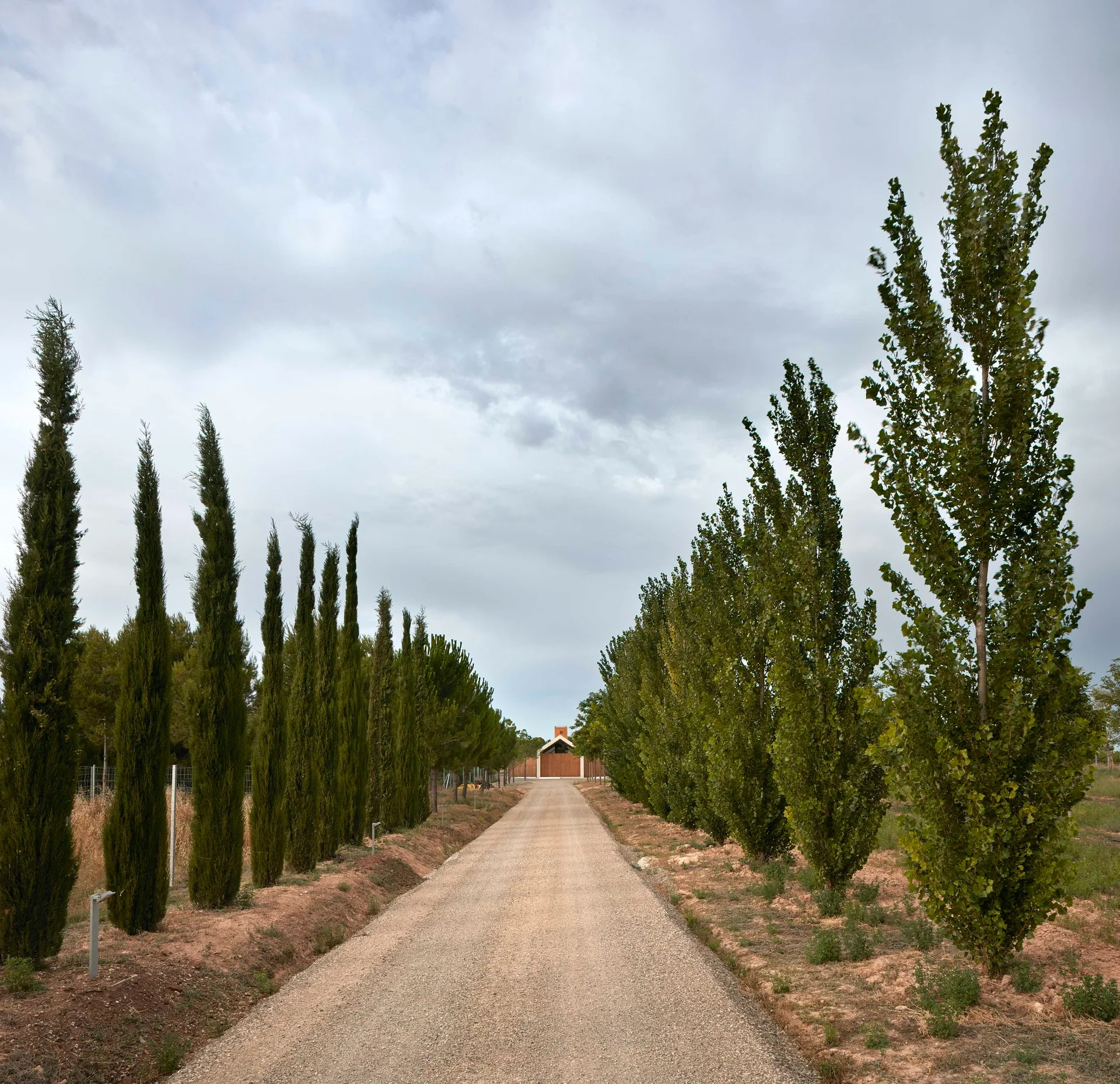 A long gravel driveway is symmetrically lined with tall cypress trees and leads toward a distant wooden gate under an overcast sky.