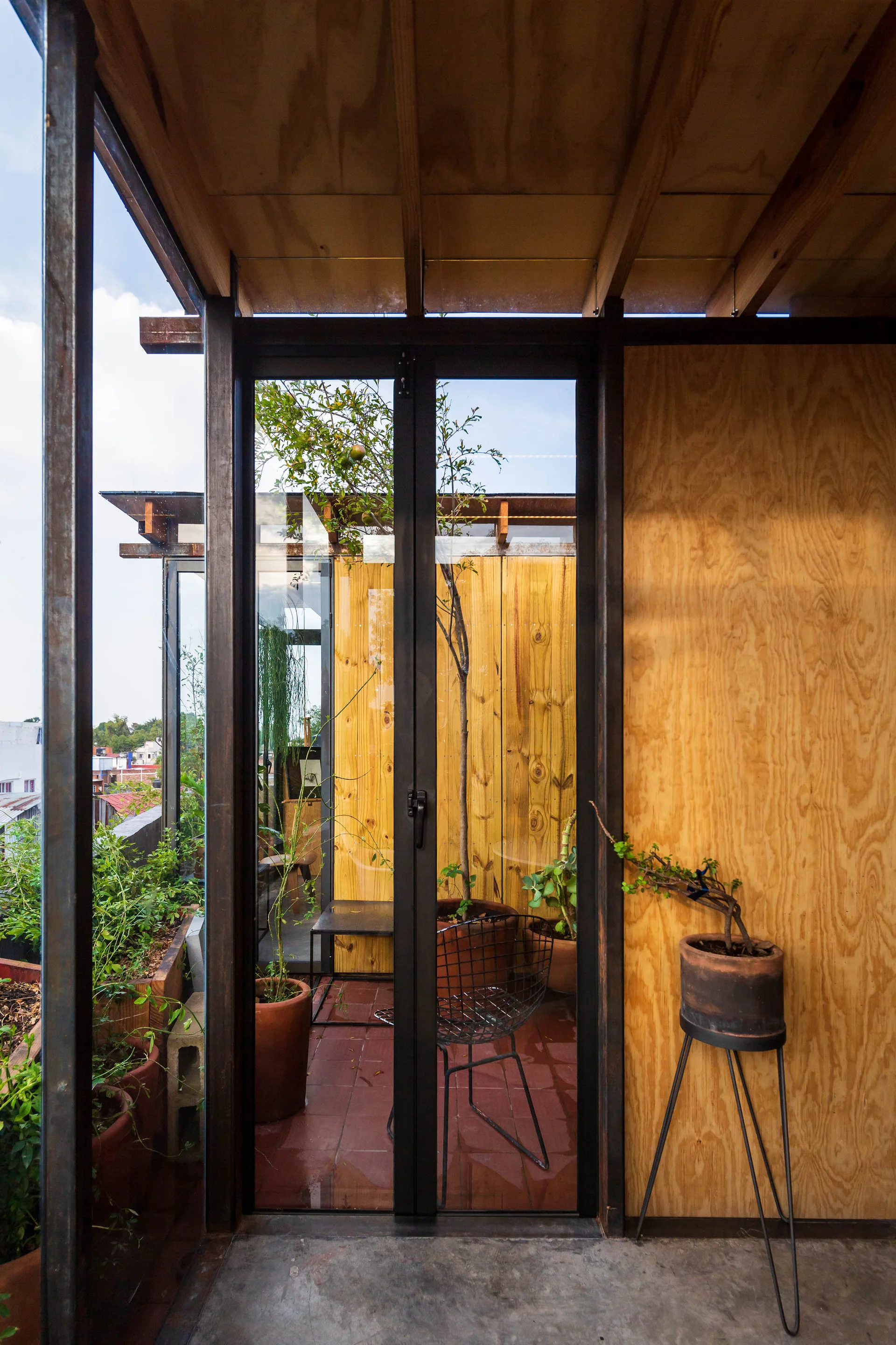 Black-framed glass doors open to a modern terrace with warm plywood paneling, terracotta floor tiles, and potted green plants.