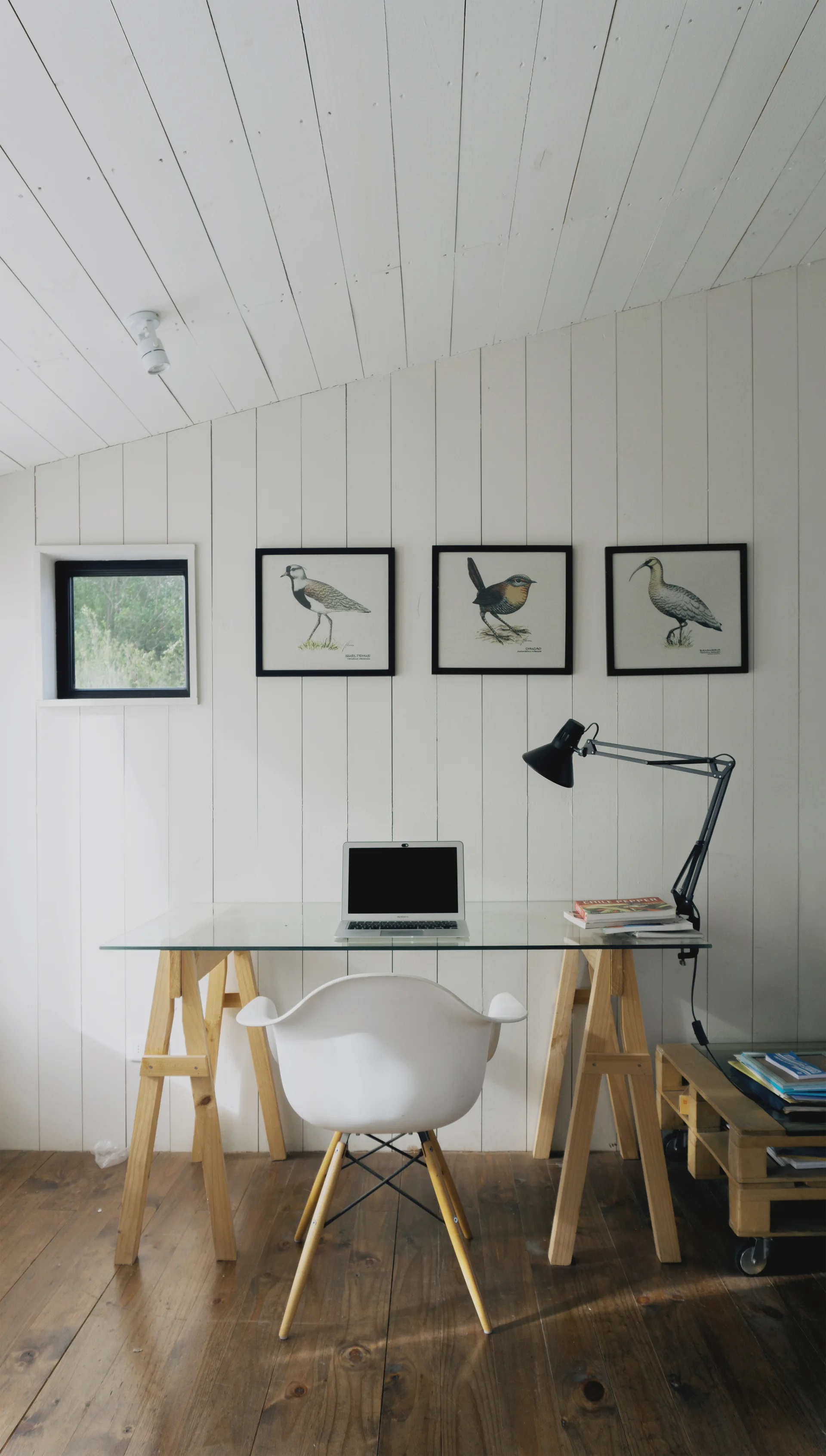 A minimalist home office features a glass-top trestle desk, a white molded chair, and three framed bird prints against a white wood-paneled wall.