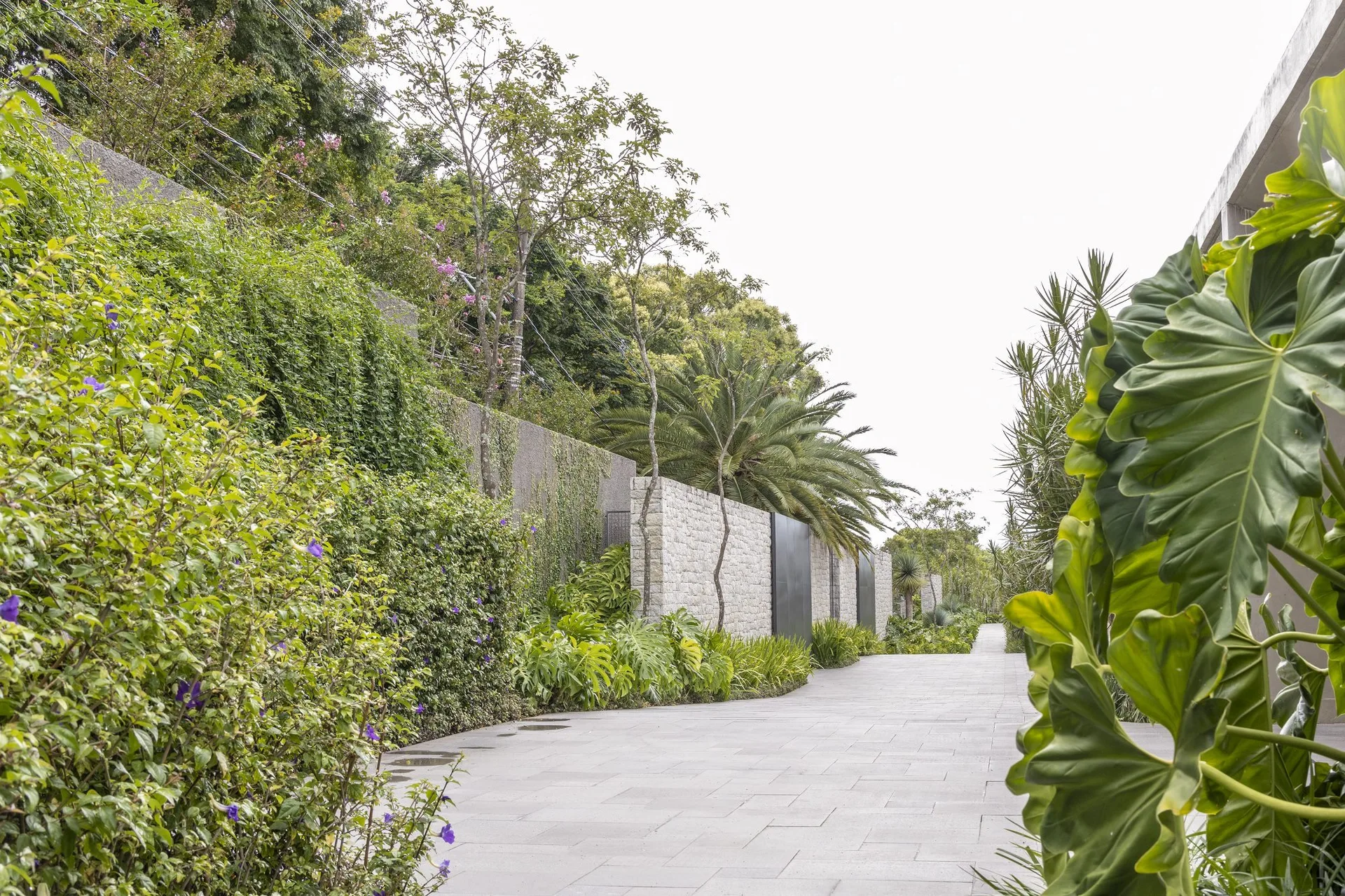 A wide paved grey stone path curves alongside a stacked stone retaining wall covered in green vines and tropical foliage under an overcast sky.