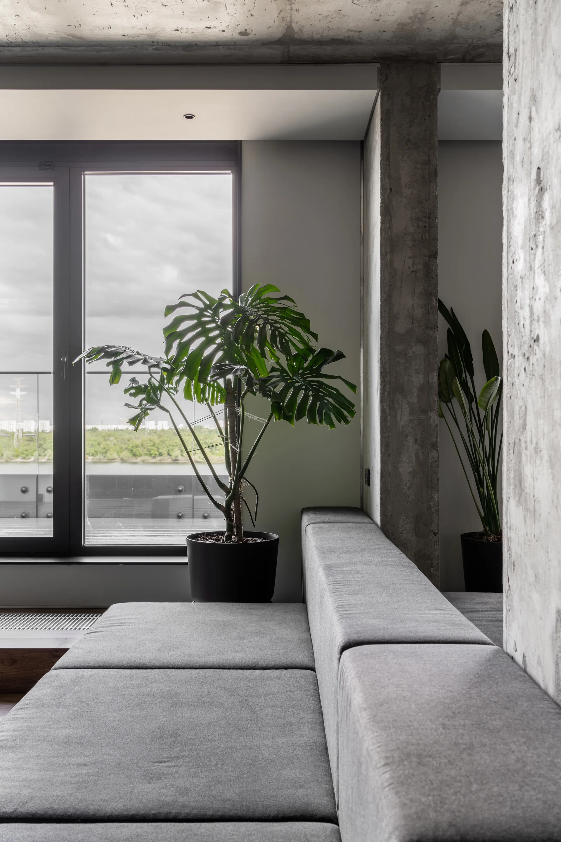 A grey modular sofa sits next to an exposed concrete column and a large potted monstera plant by a window.
