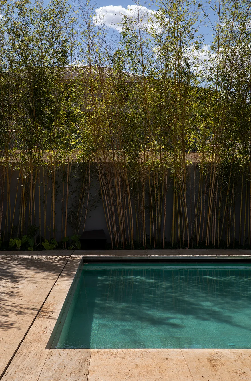 A rectangular swimming pool with blue water sits next to a tan stone deck with a tall bamboo privacy screen planted against a grey wall.