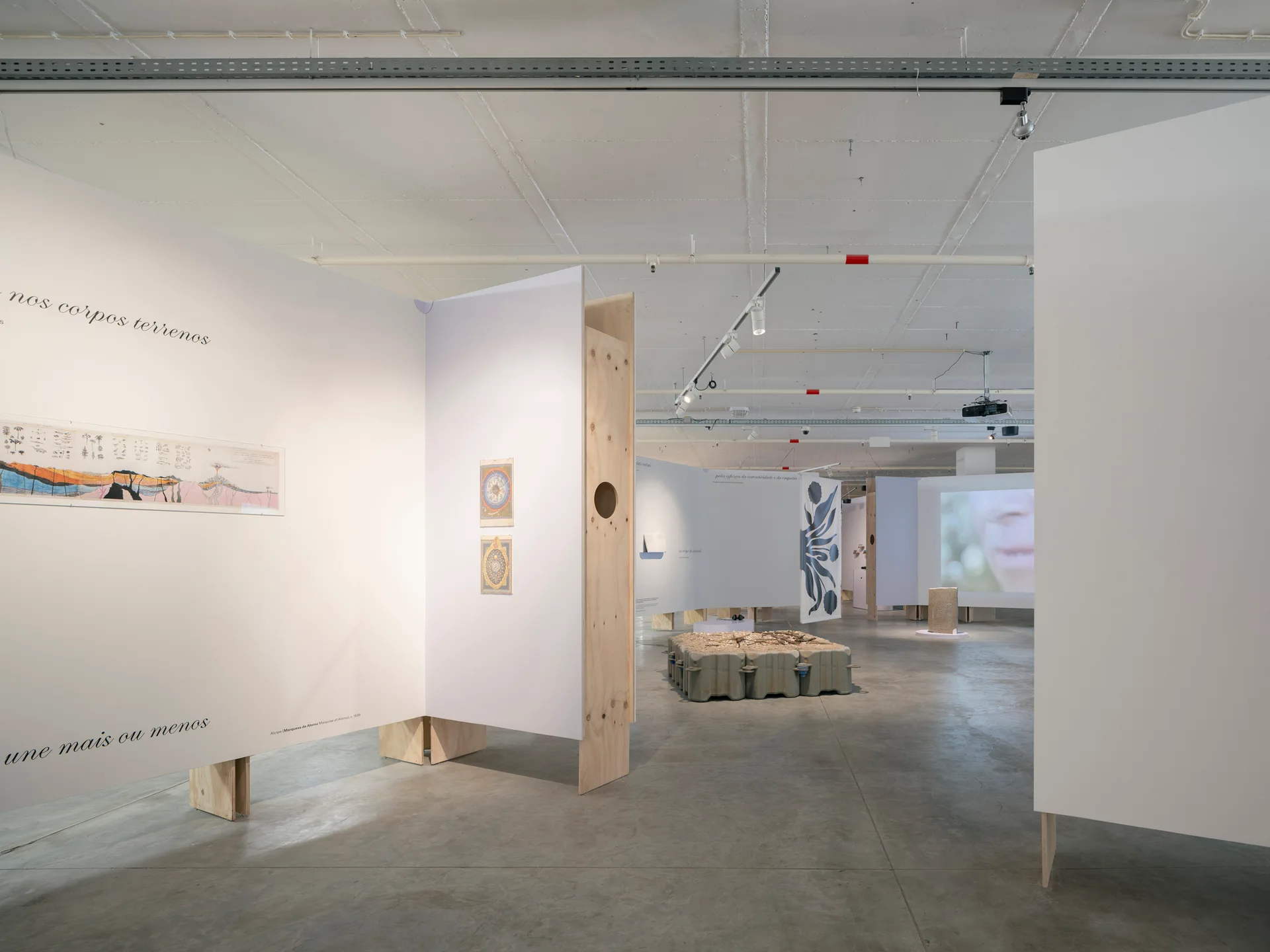 An open exhibition room features white partition walls with raw plywood supports, a polished concrete floor, and an industrial ceiling with exposed pipes.
