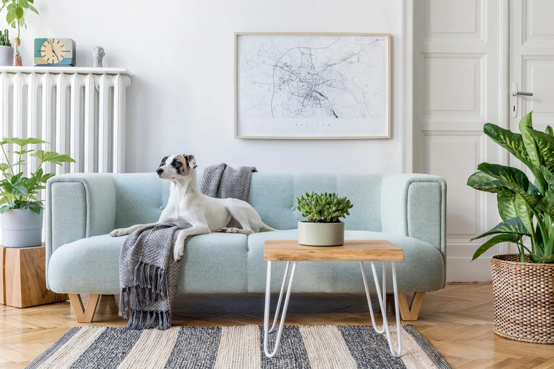 Cheap Home Decorating Ideas That Will Fool Everyone