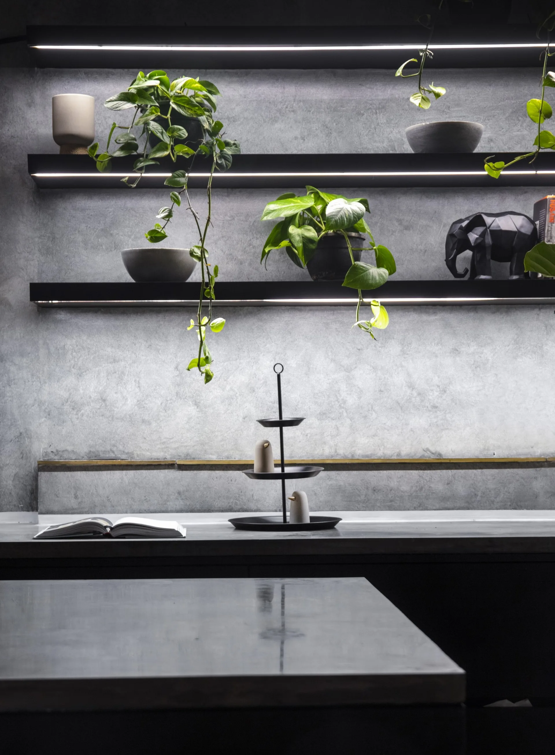 Dark floating shelves with integrated LED lighting display potted plants and decor against a textured grey concrete-like wall in a kitchen.