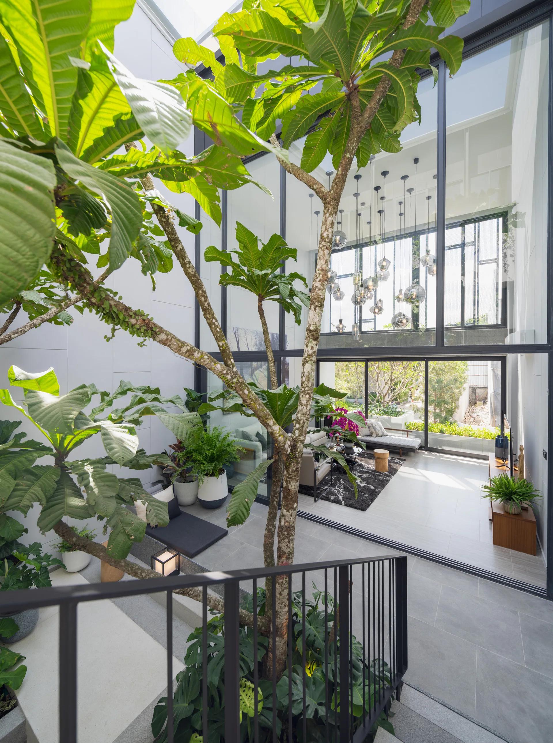 A modern home interior features a central glass courtyard with a leafy green tree, overlooking a living room with black-framed sliding doors.