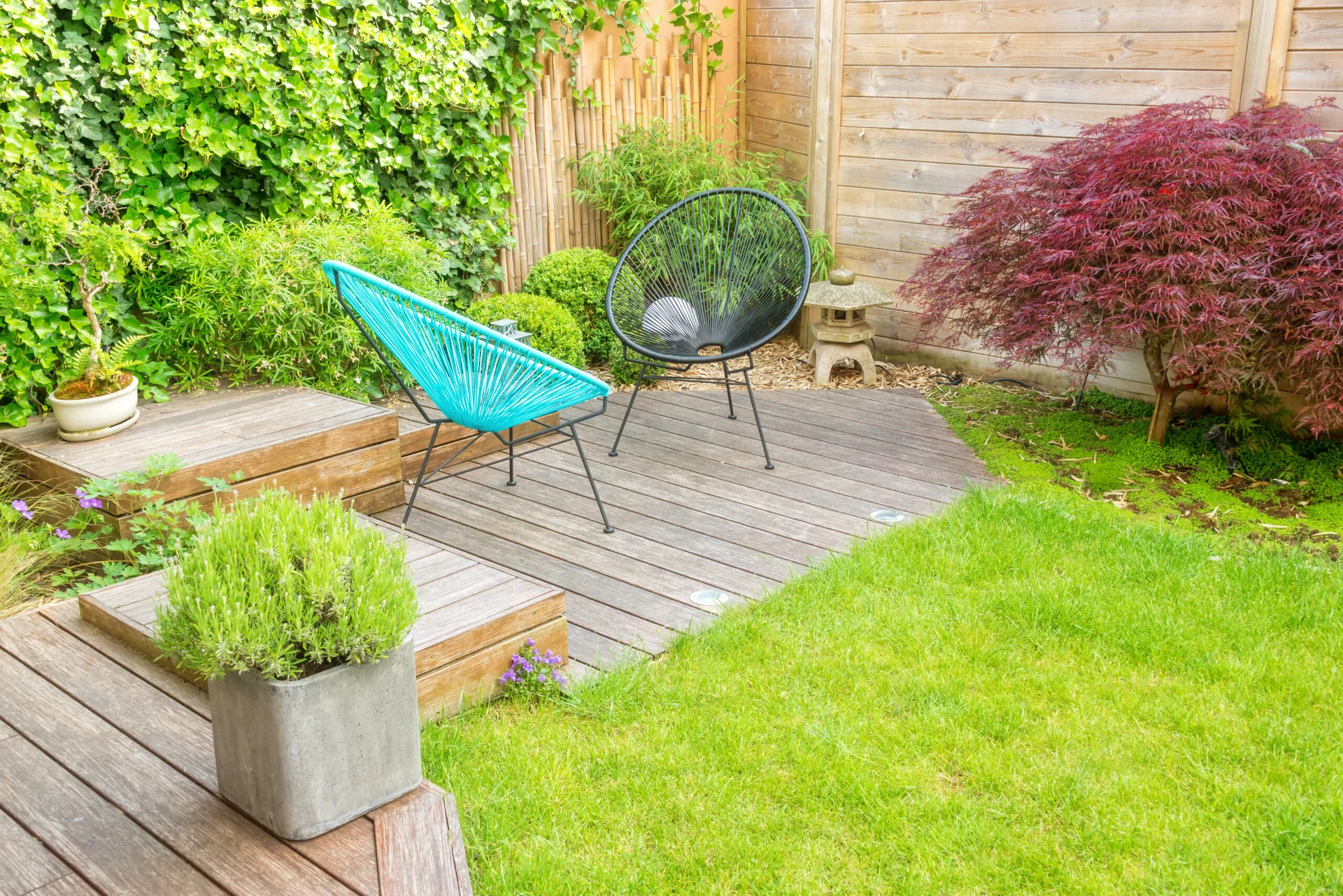 Two string lounge chairs sit on a tiered wooden deck next to a green lawn, bamboo fencing, and a red Japanese maple tree.