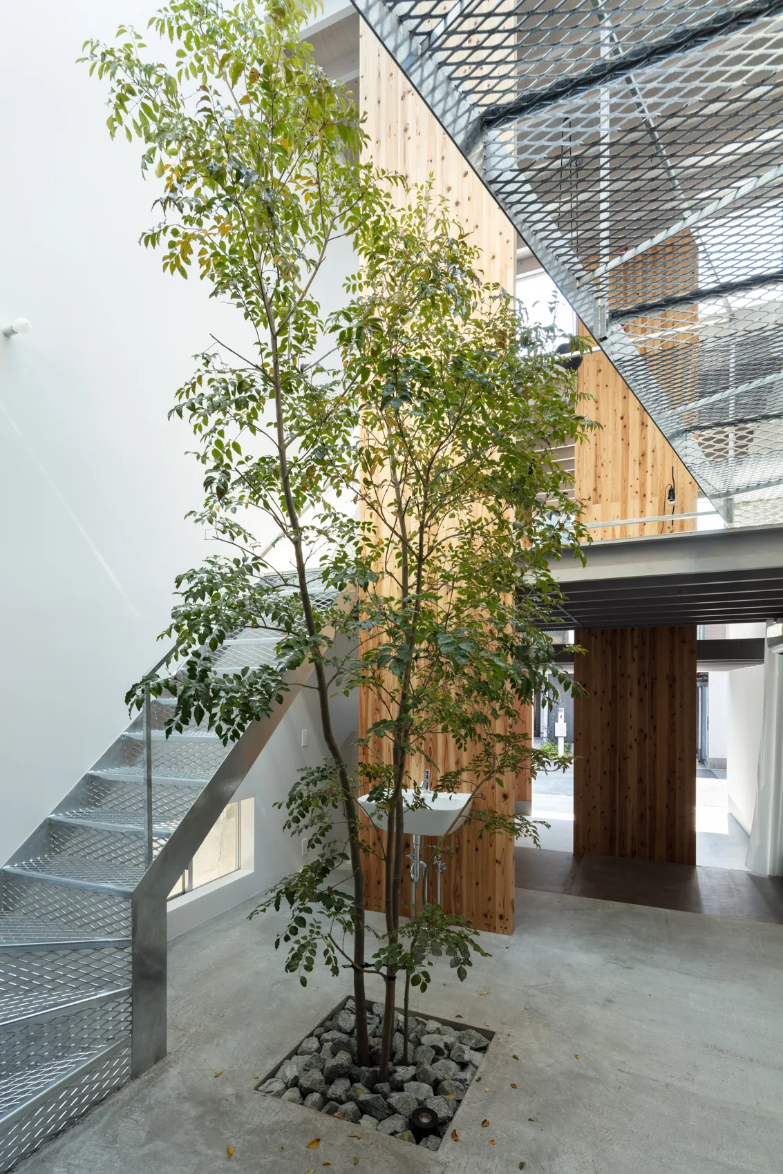An industrial interior features a metal mesh staircase and walkway, a tall living tree planted in the concrete floor, and vertical wood paneling.