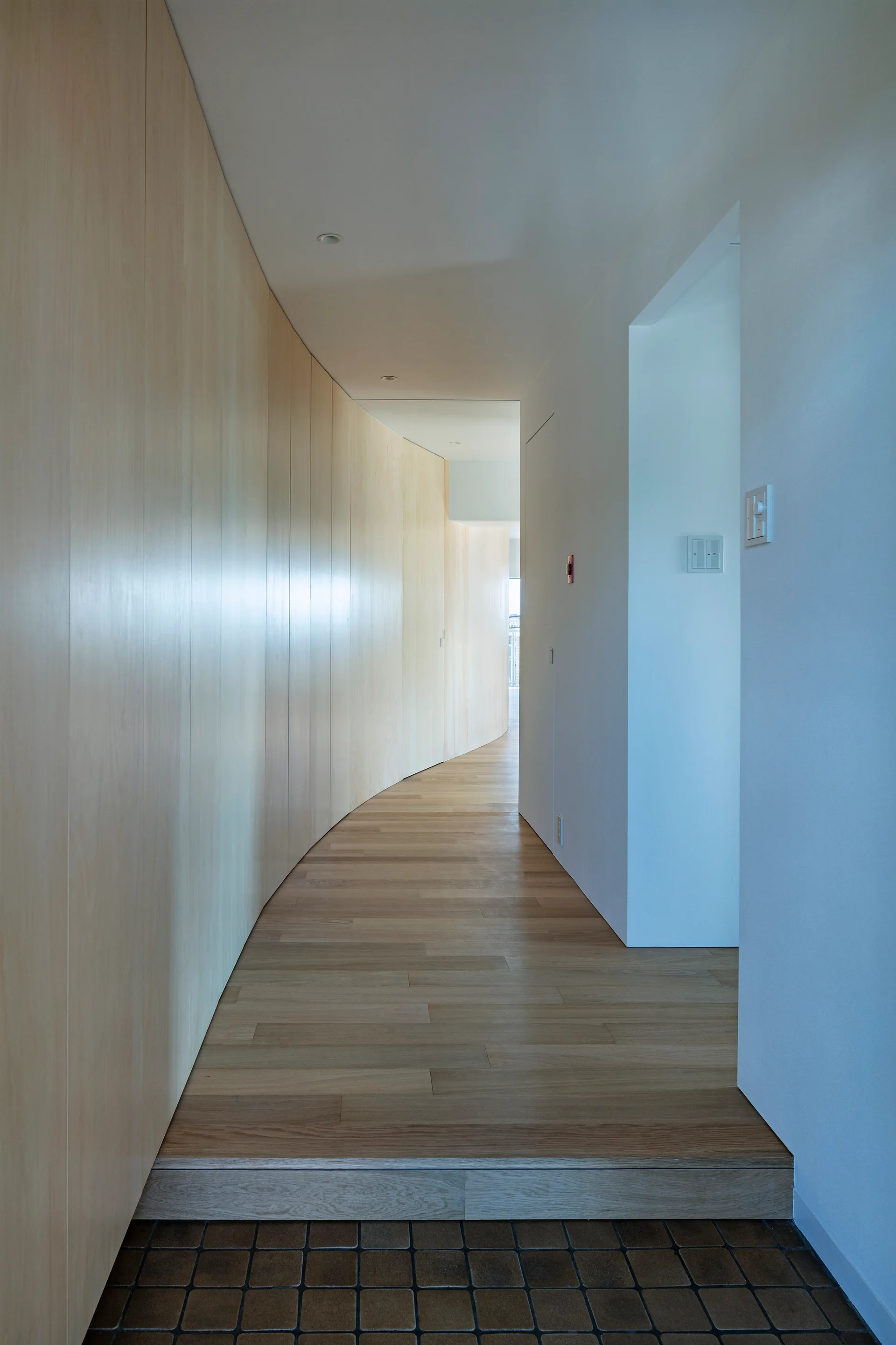 A minimalist hallway featuring a curved light wood paneled wall, smooth white plaster walls, and light wood plank flooring.