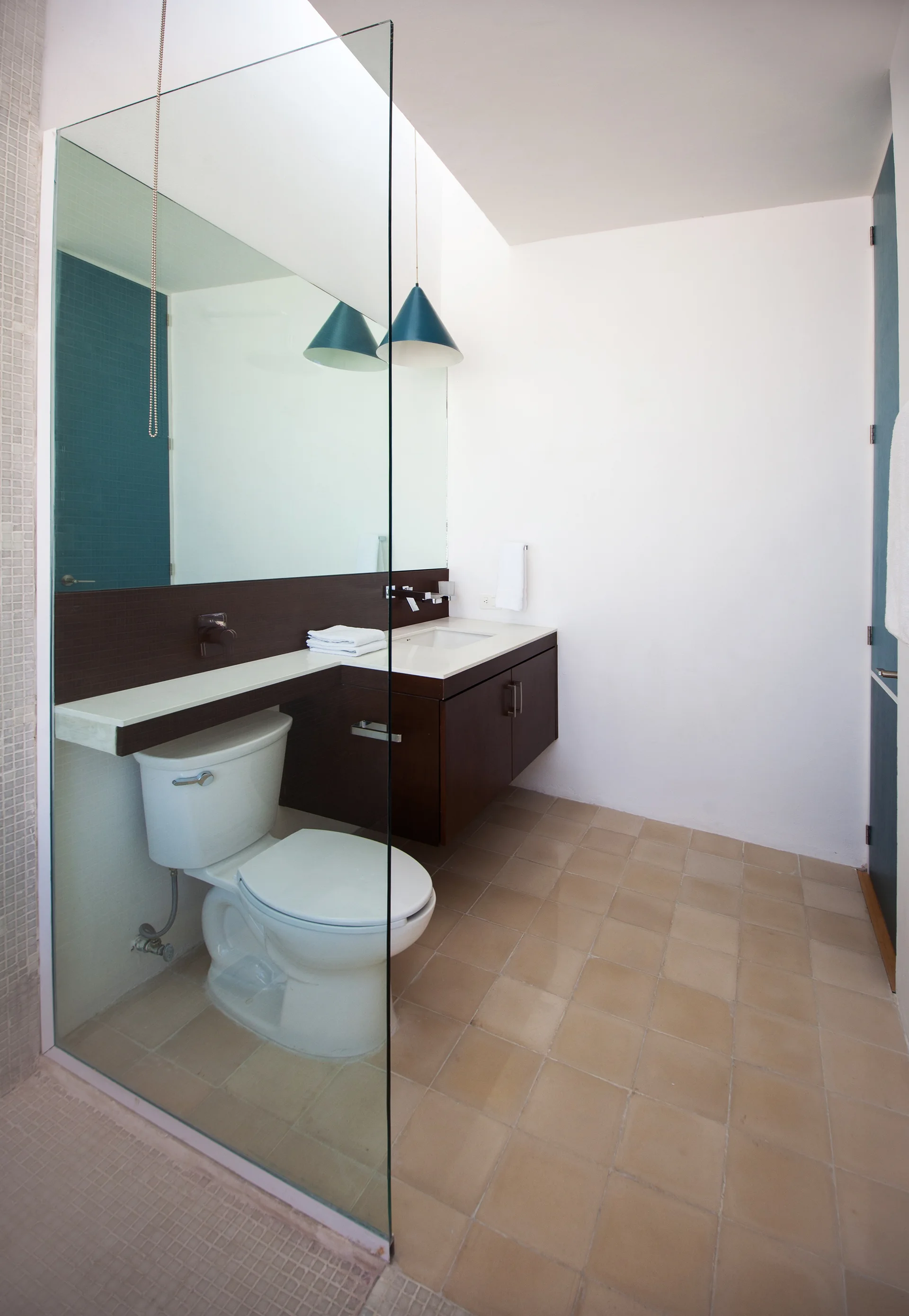 A modern bathroom features a frameless glass partition, a white toilet, a floating dark wood vanity, and a large wall-mounted mirror.