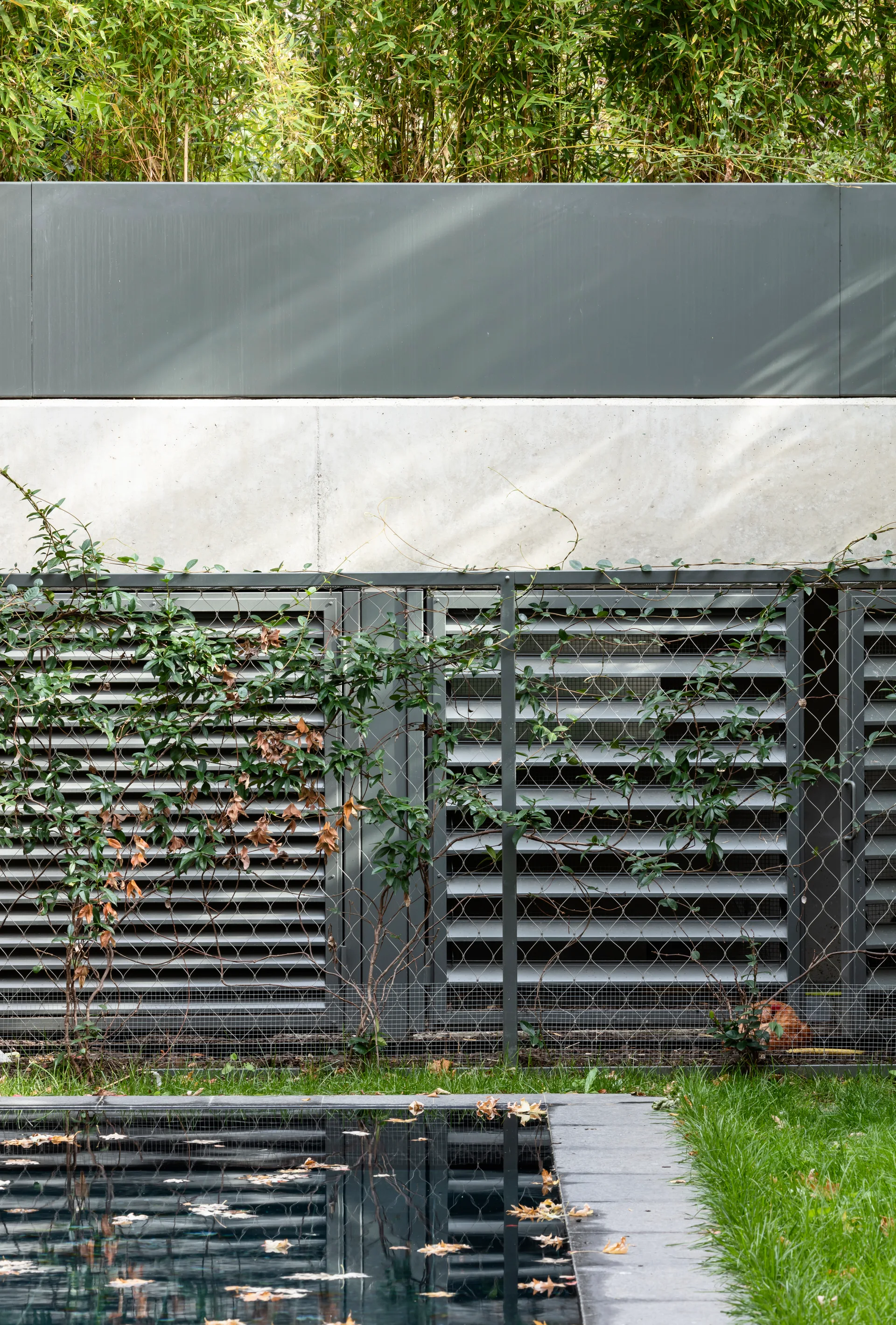 A modern backyard swimming pool edge lined with green grass features a multi-layered gray concrete and metal slatted privacy screen.