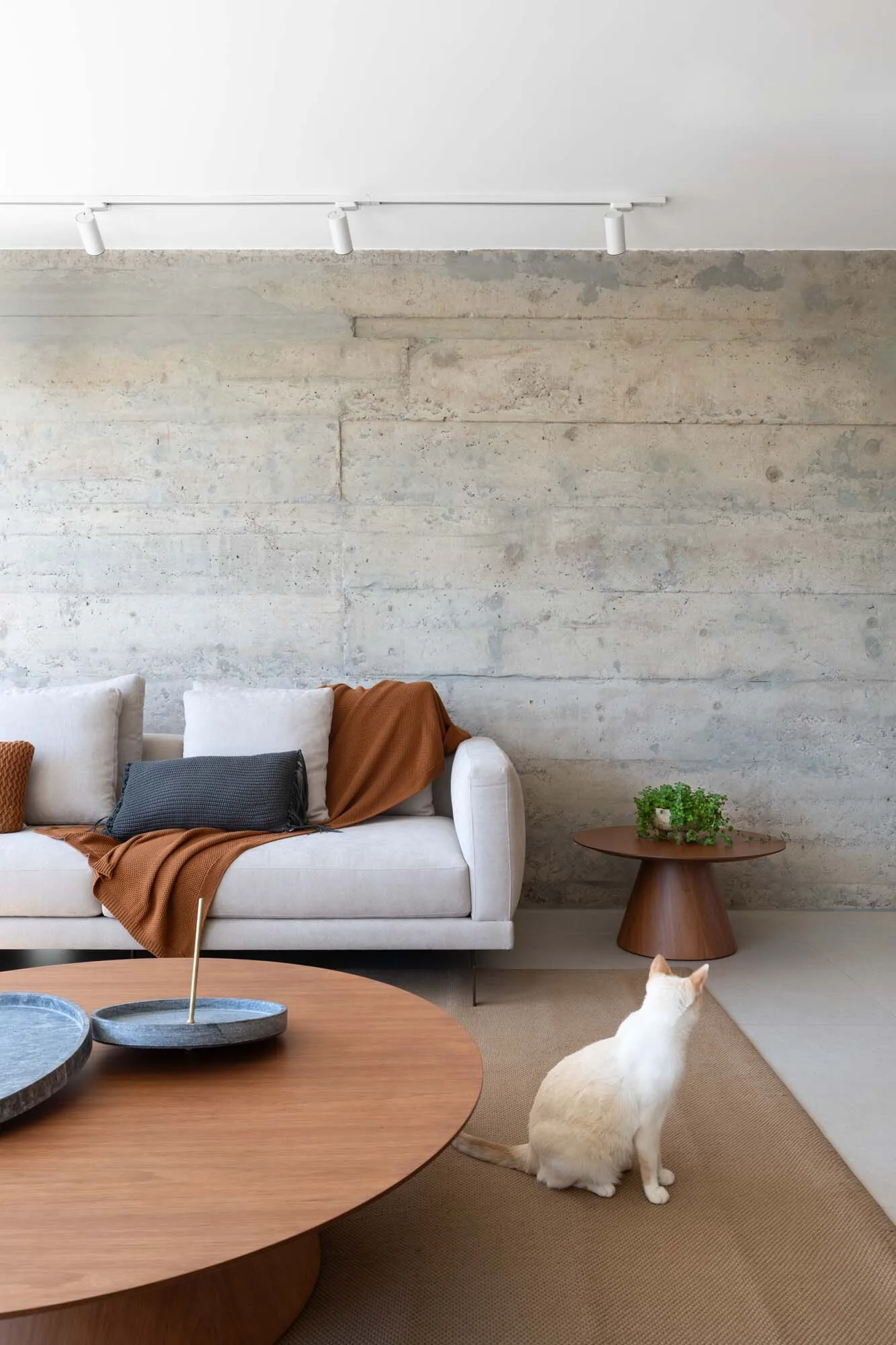 A light grey sofa sits against a textured raw concrete wall in a minimalist living room with round wood tables and a tan rug.