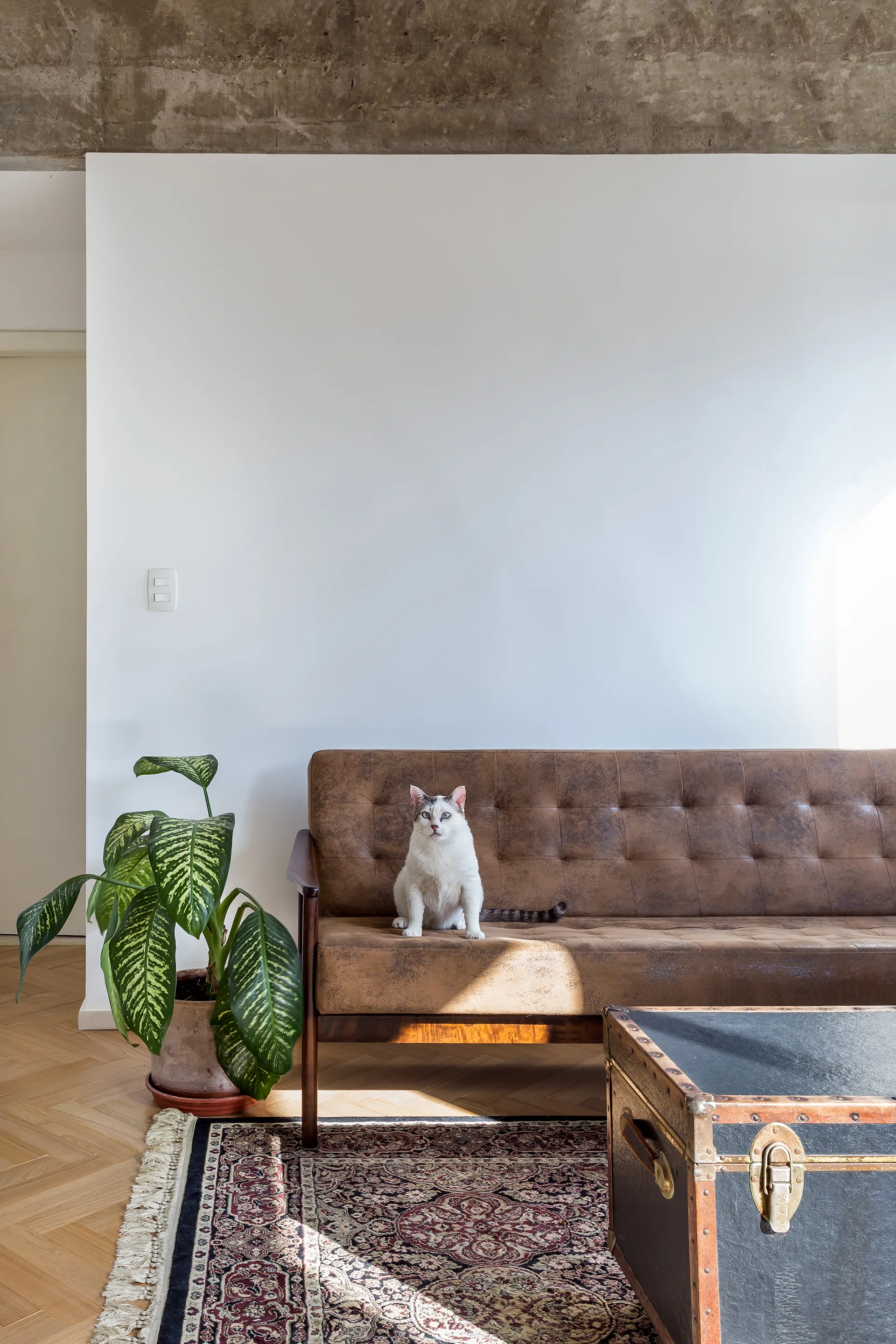 An eclectic living room features a tufted brown leather sofa, a vintage trunk coffee table, and an exposed raw concrete ceiling.