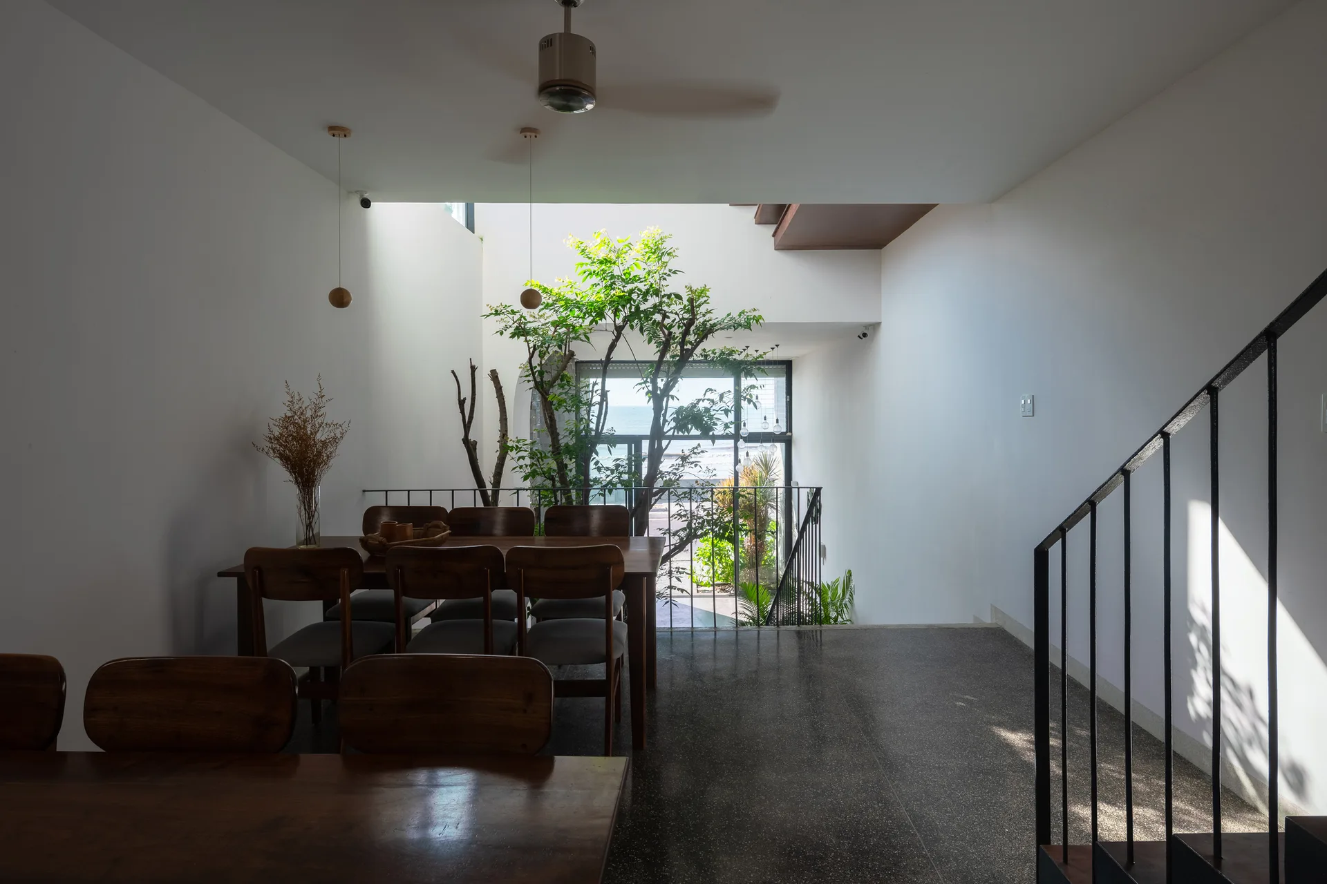 A modern dining room with a wooden dining table and chairs sits beside a light-filled indoor courtyard featuring a tall green tree.