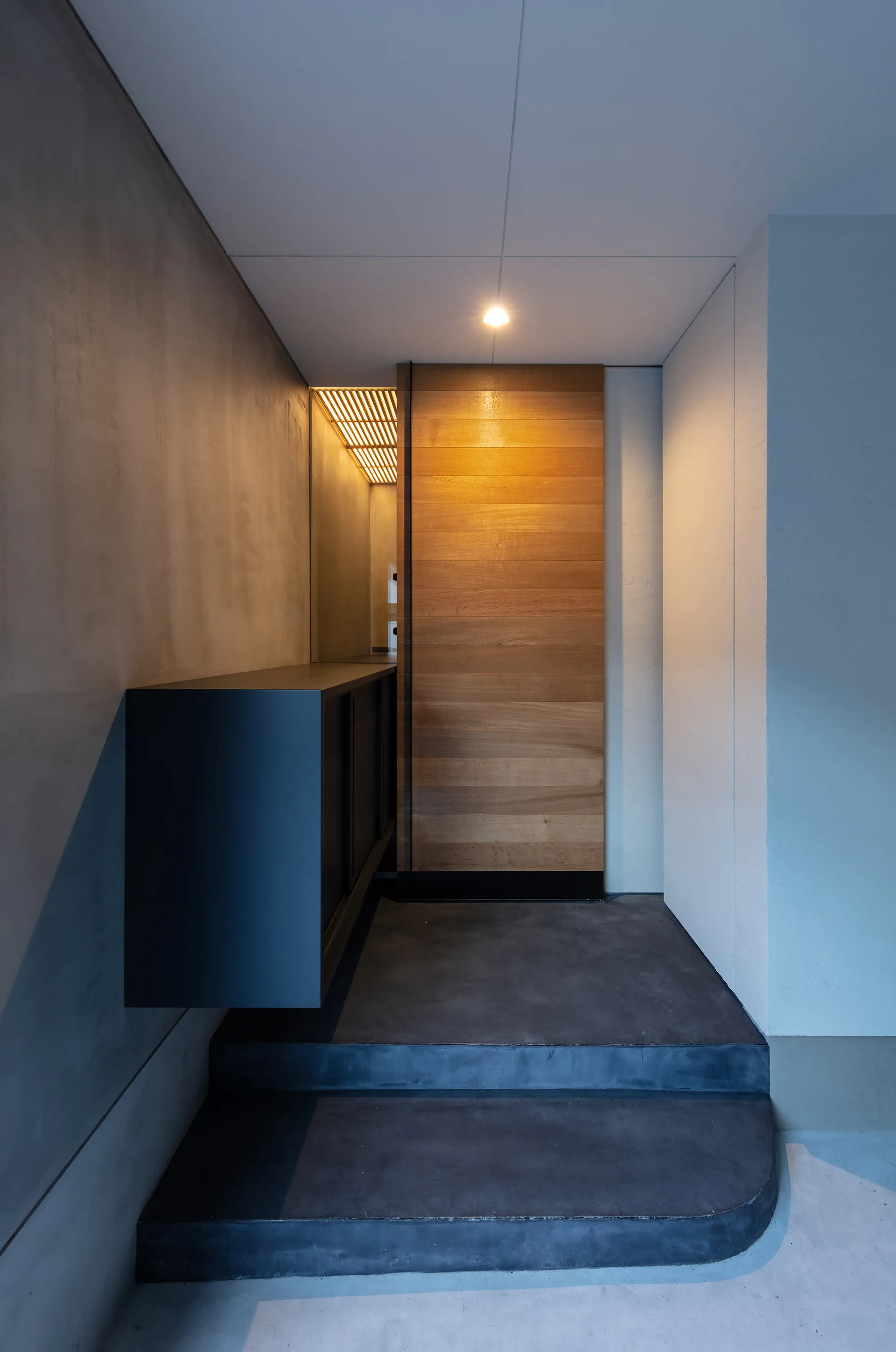 A minimalist entryway features a large wooden plank door, dark concrete steps, and a black floating cabinet against grey plaster walls.