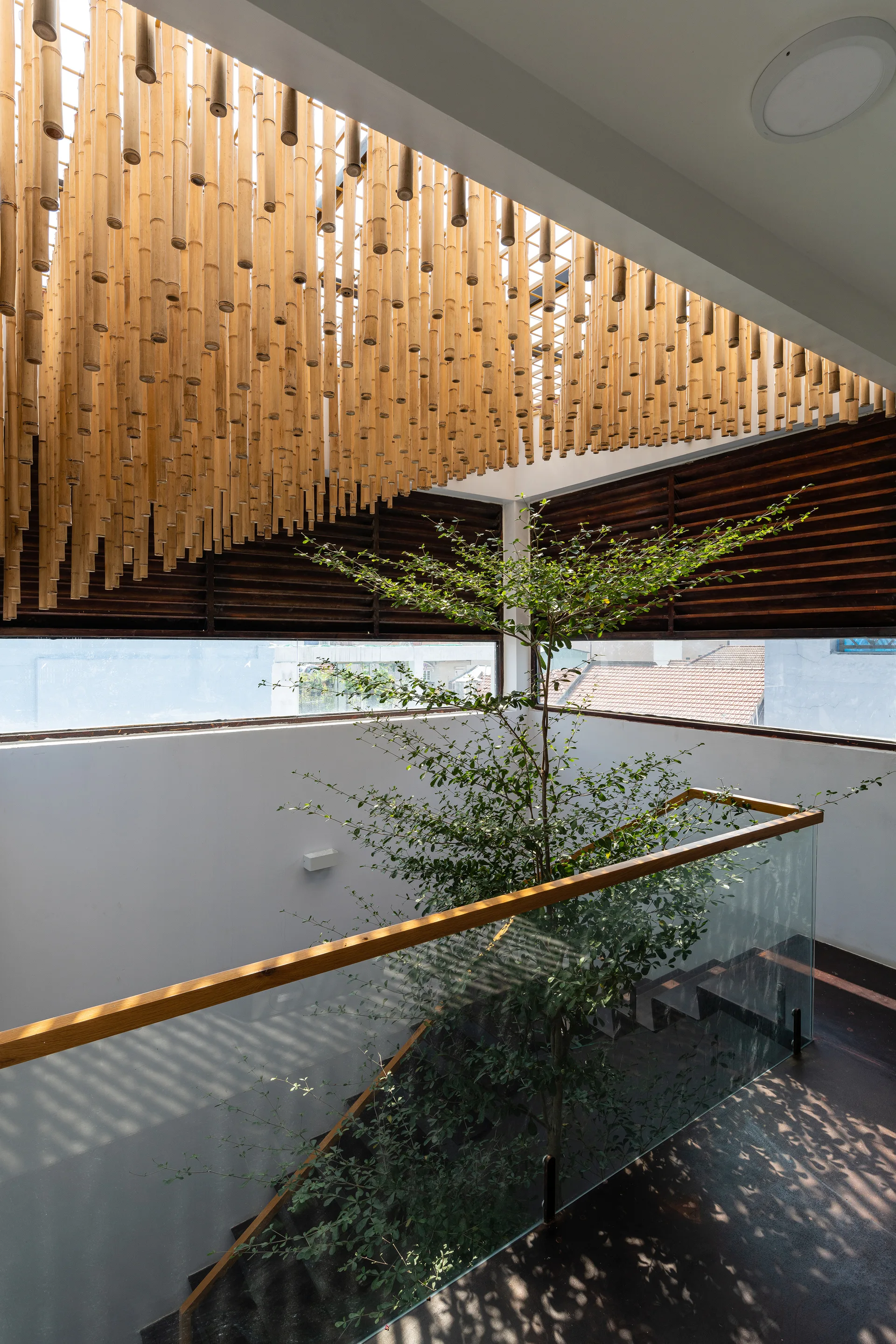 An indoor staircase features a glass railing, a young tree growing alongside the steps, and a ceiling installation of suspended bamboo poles.