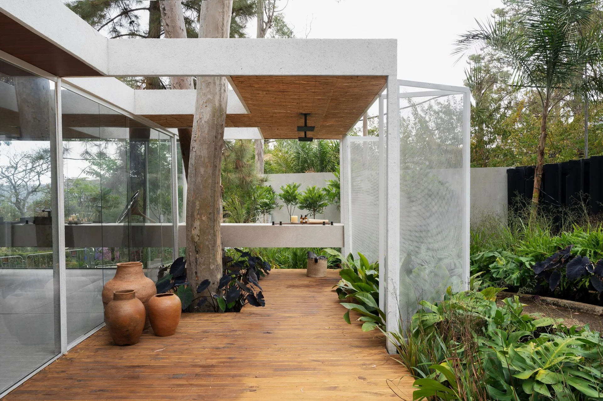 A modern wooden deck patio features a mature tree growing through the floor, a white canopy structure, and three large clay vessels.