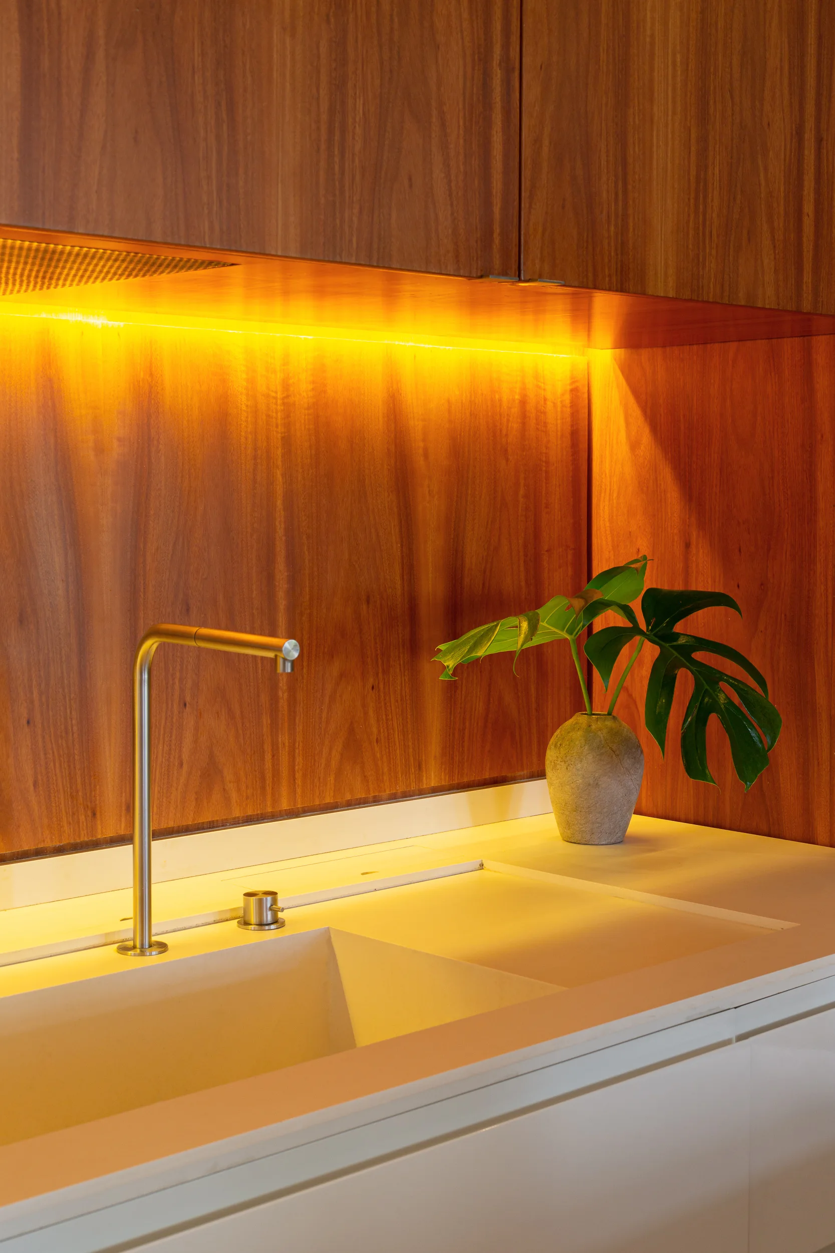 A modern kitchen sink with a metal faucet, a rich wood backsplash illuminated by warm under-cabinet lighting, and a potted monstera leaf.