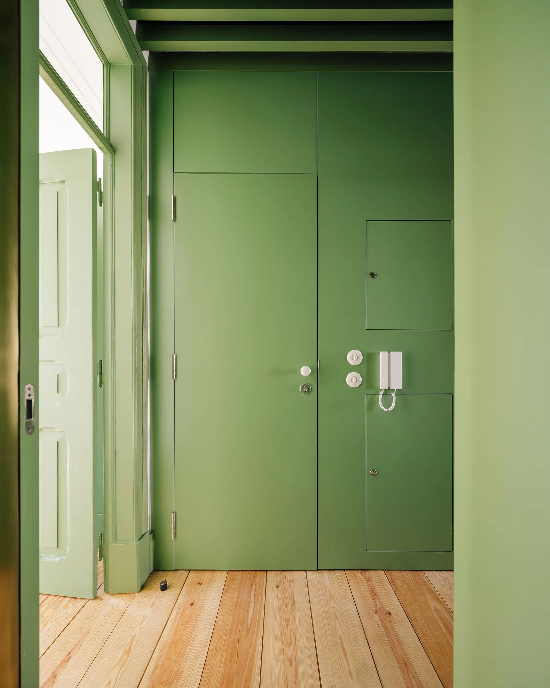 Minimalist green painted entryway with flush panel doors, round white light switches, a wall-mounted intercom, and light wood flooring.