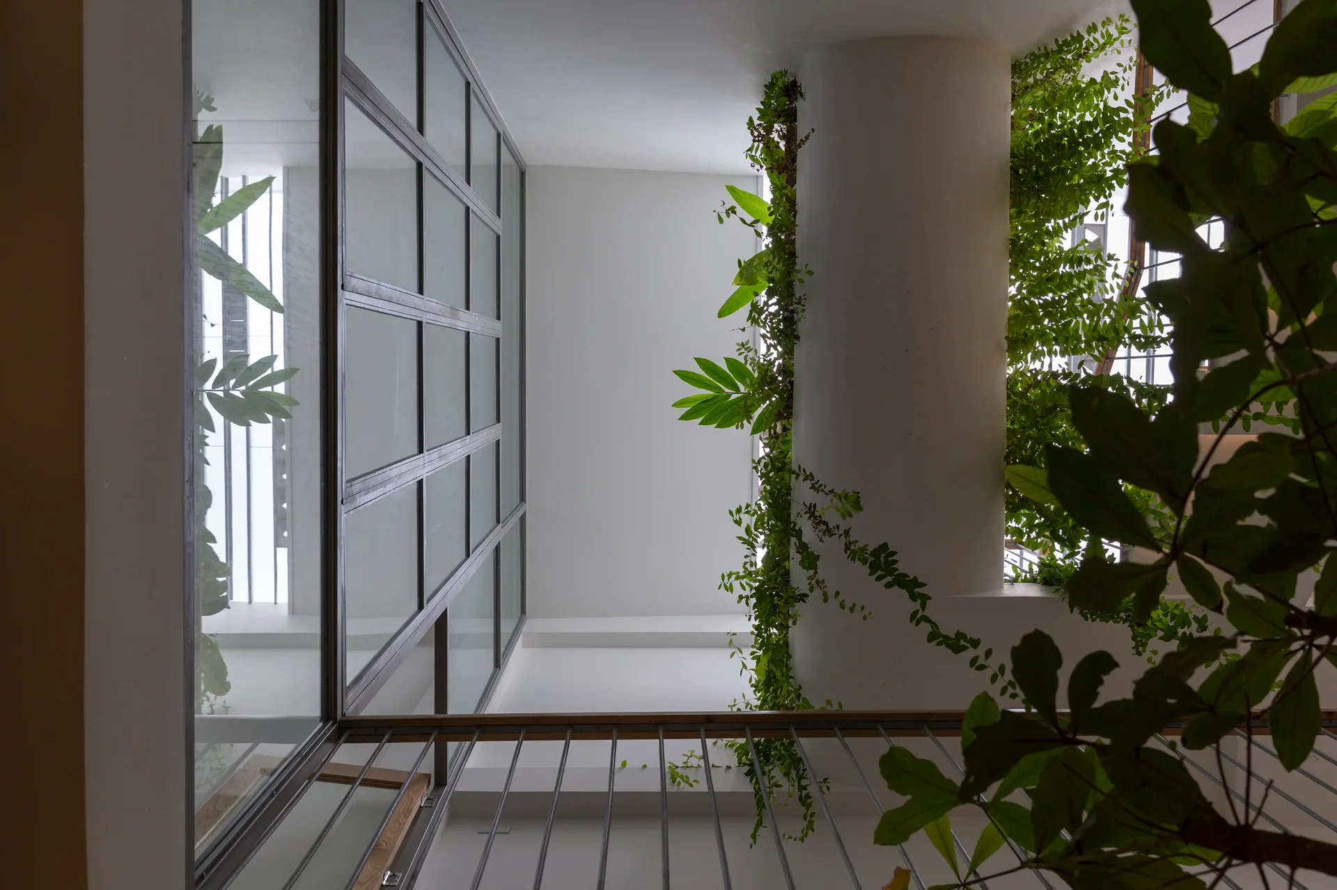 Looking up a white indoor atrium featuring a large glass-grid partition wall, a round structural column, and climbing green foliage.