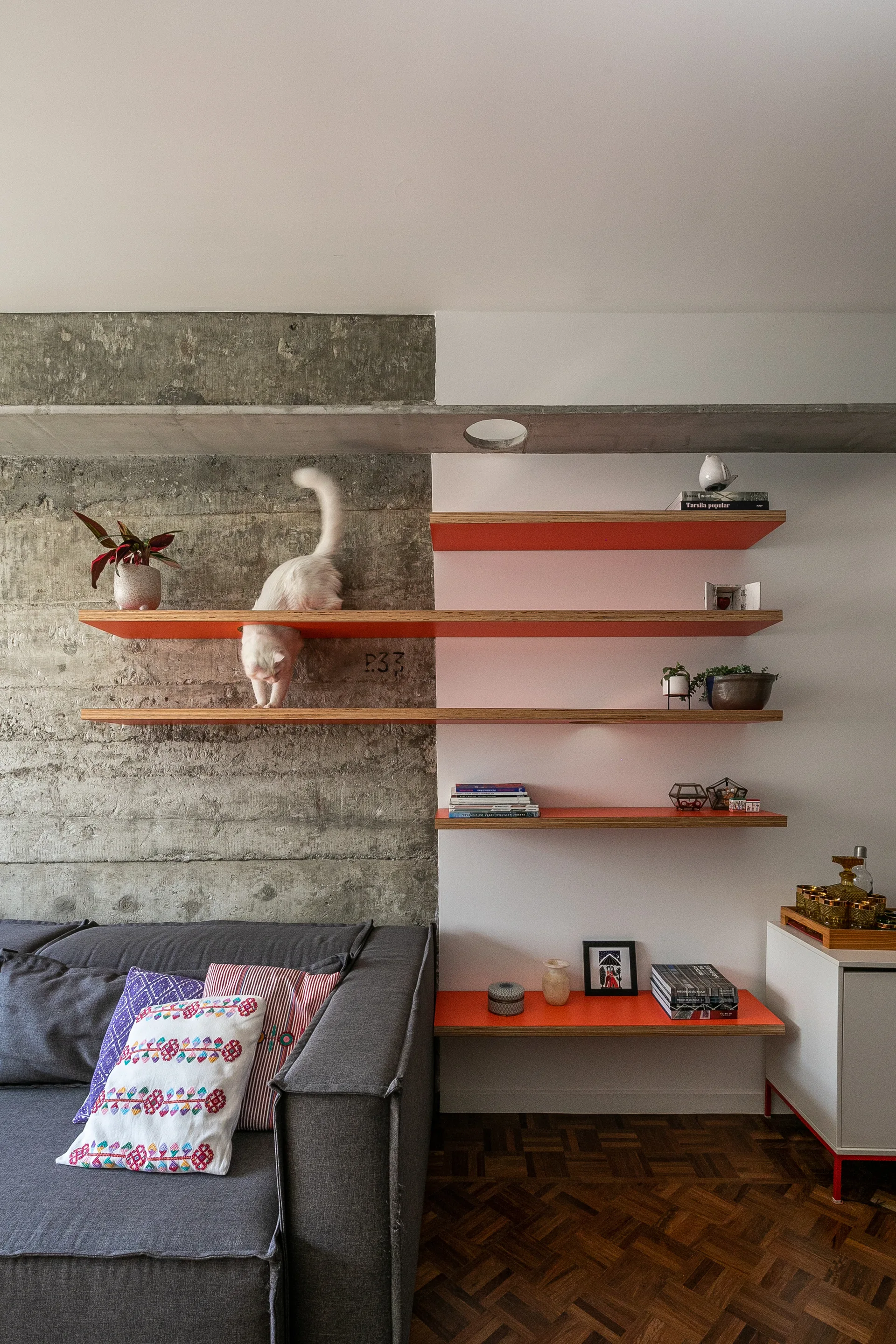 A gray sofa sits in front of an exposed concrete wall with orange-trimmed floating shelves, a parquet wood floor, and a white cat on a shelf.