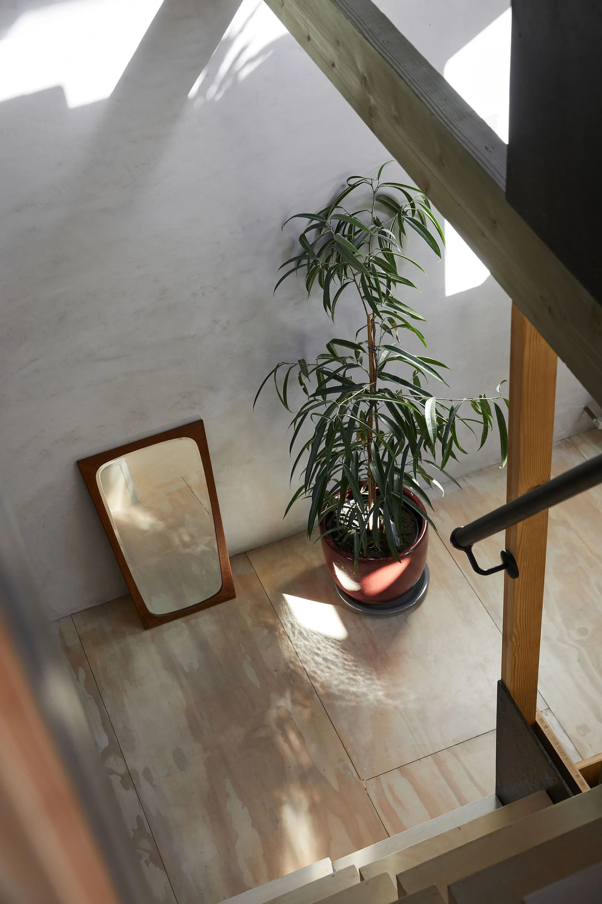 A high-angle view of a plywood staircase landing with a leaning wood-framed mirror and a potted plant in a red ceramic planter.