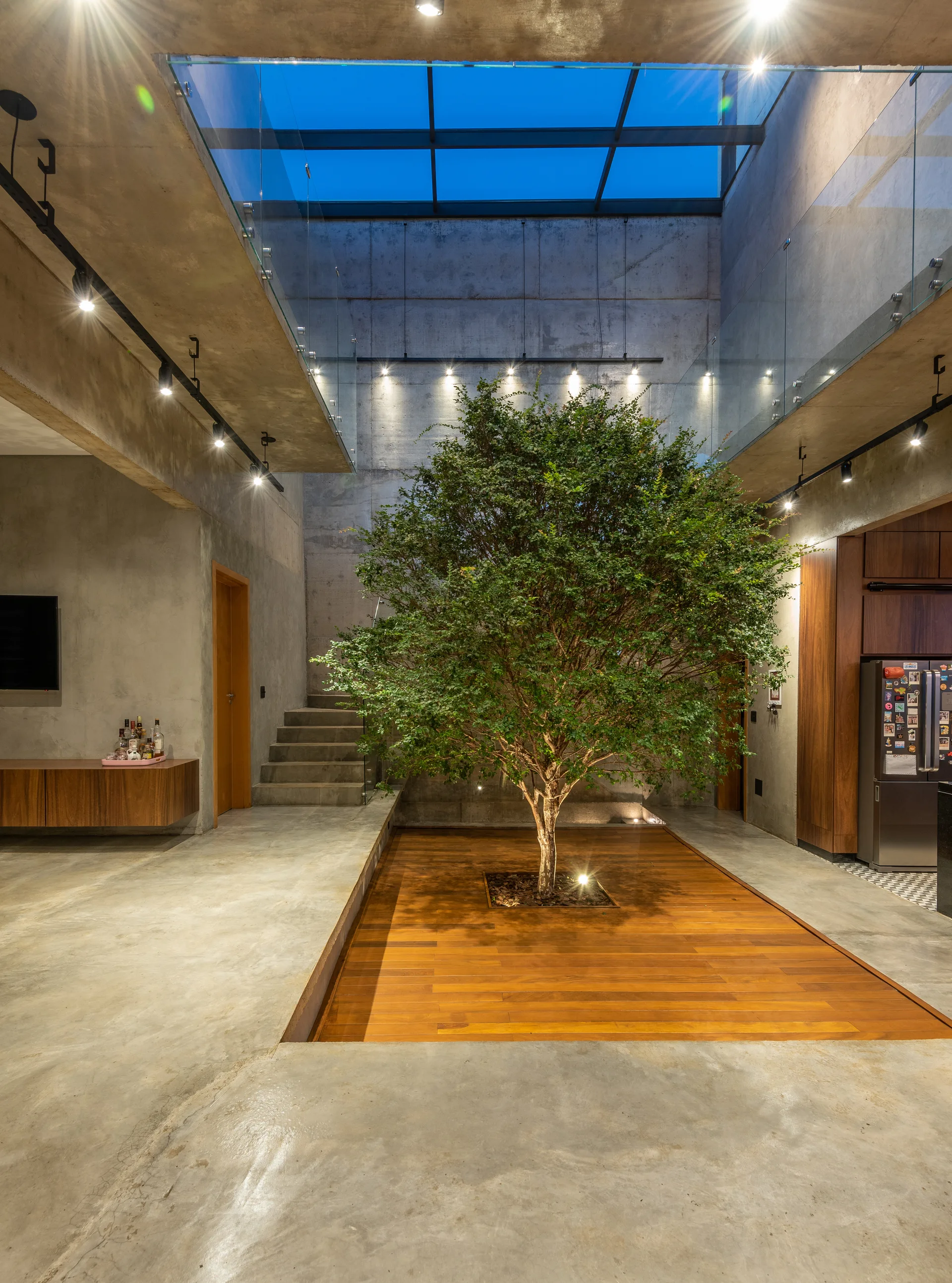 A modern home atrium features an indoor tree planted in a wood deck, surrounded by concrete walls, a staircase, and a large overhead skylight.