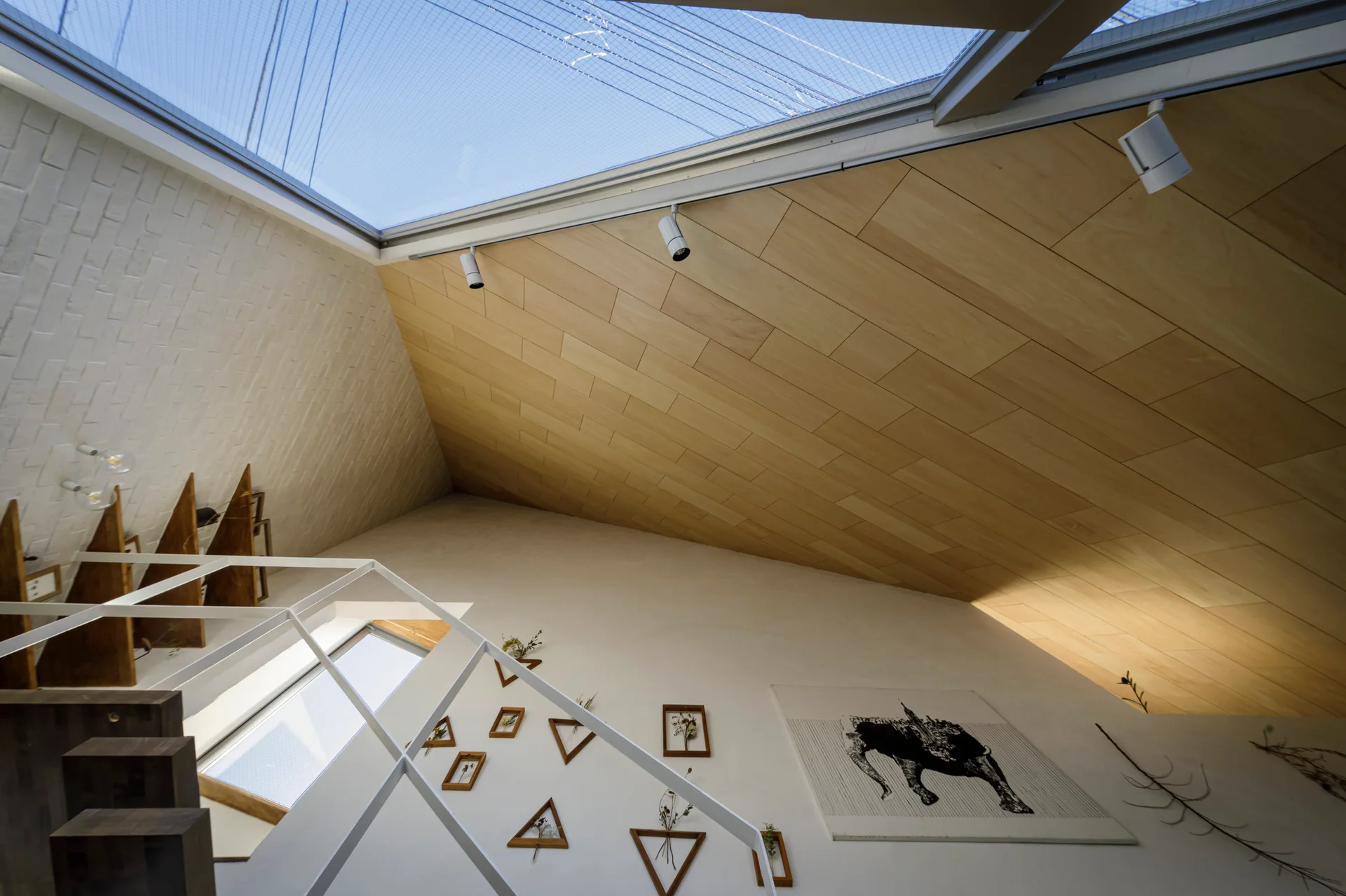 8.5 House, DOG, Interior