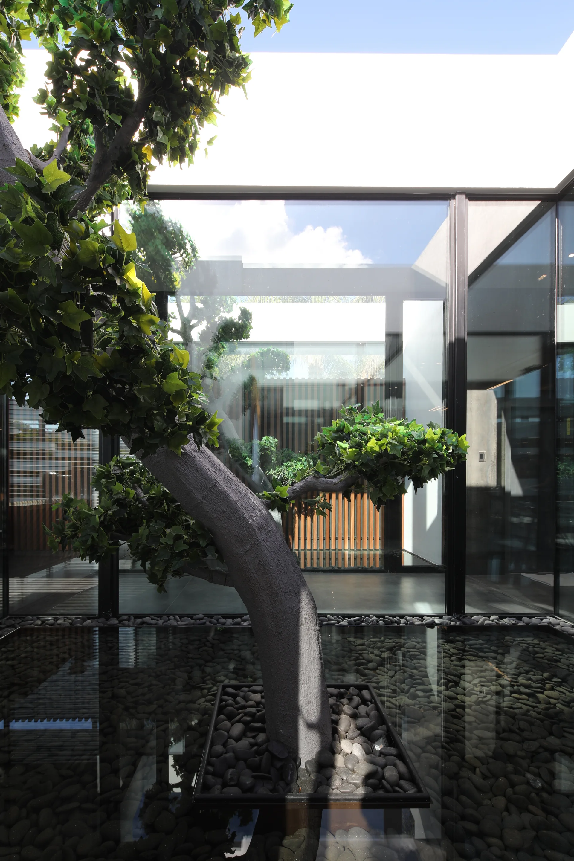 A modern courtyard features a central ornamental tree planted in a shallow water pool filled with dark pebbles, enclosed by large glass walls.