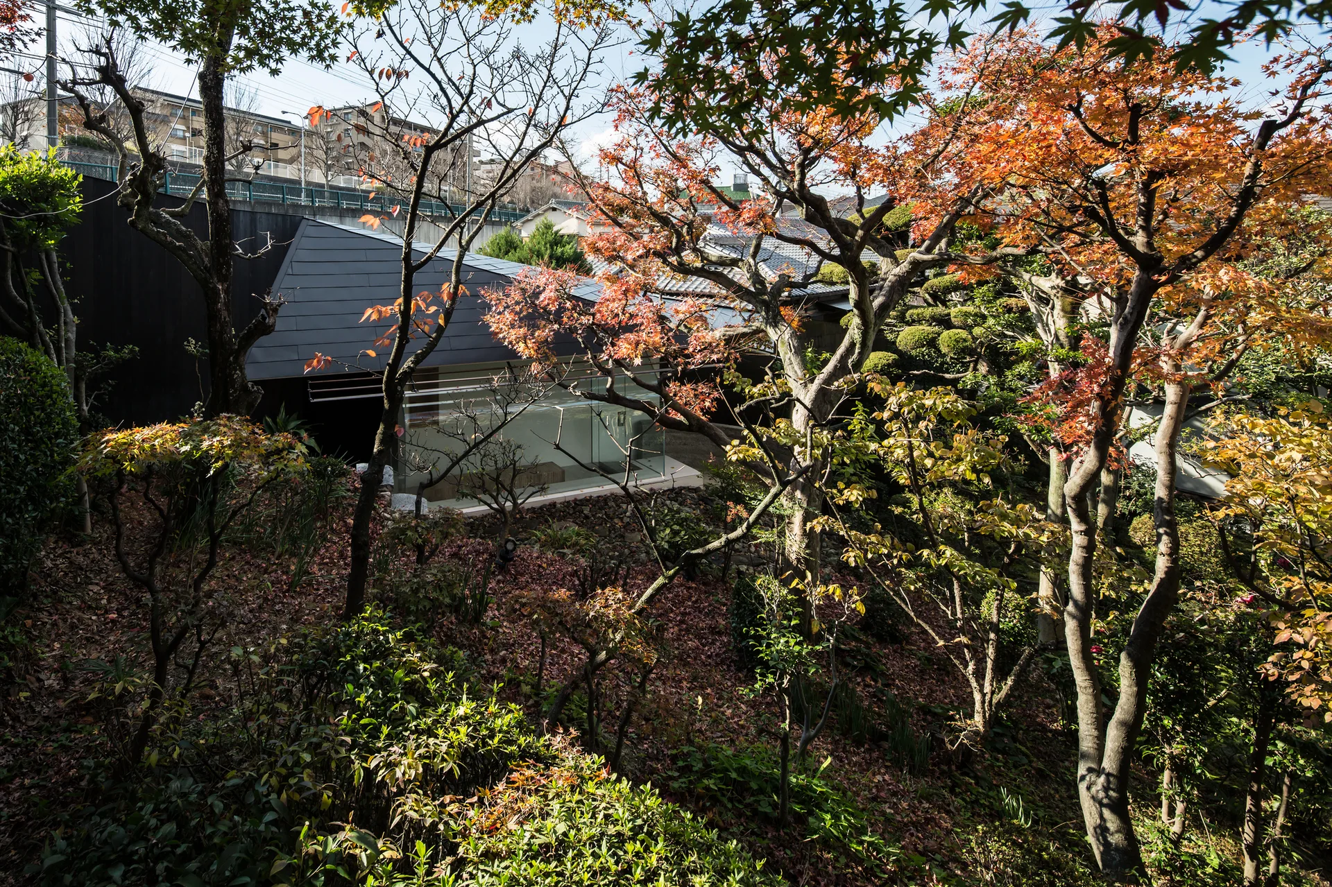 A modern architectural structure with an angular dark gray roof and glass walls sits nestled within a sloped garden filled with autumn trees.