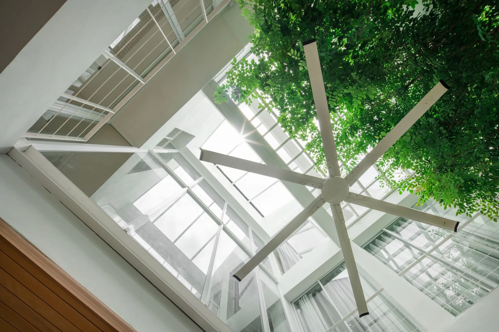 A low-angle view looking up at a white ceiling fan and green indoor tree branches under a glass skylight roof.