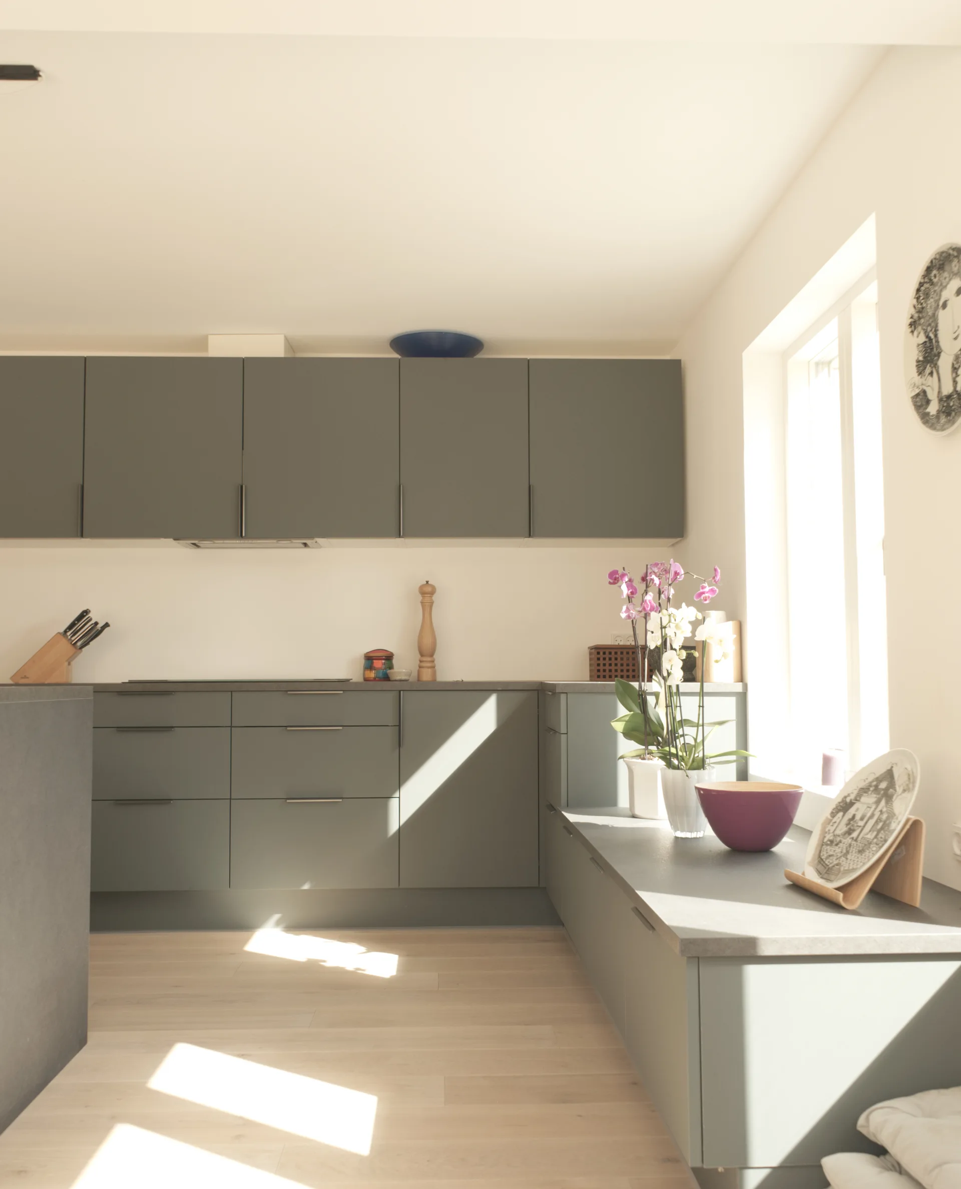A bright kitchen features matte grey flat-panel cabinets, light wood flooring, and a large window casting natural sunlight on the countertop.