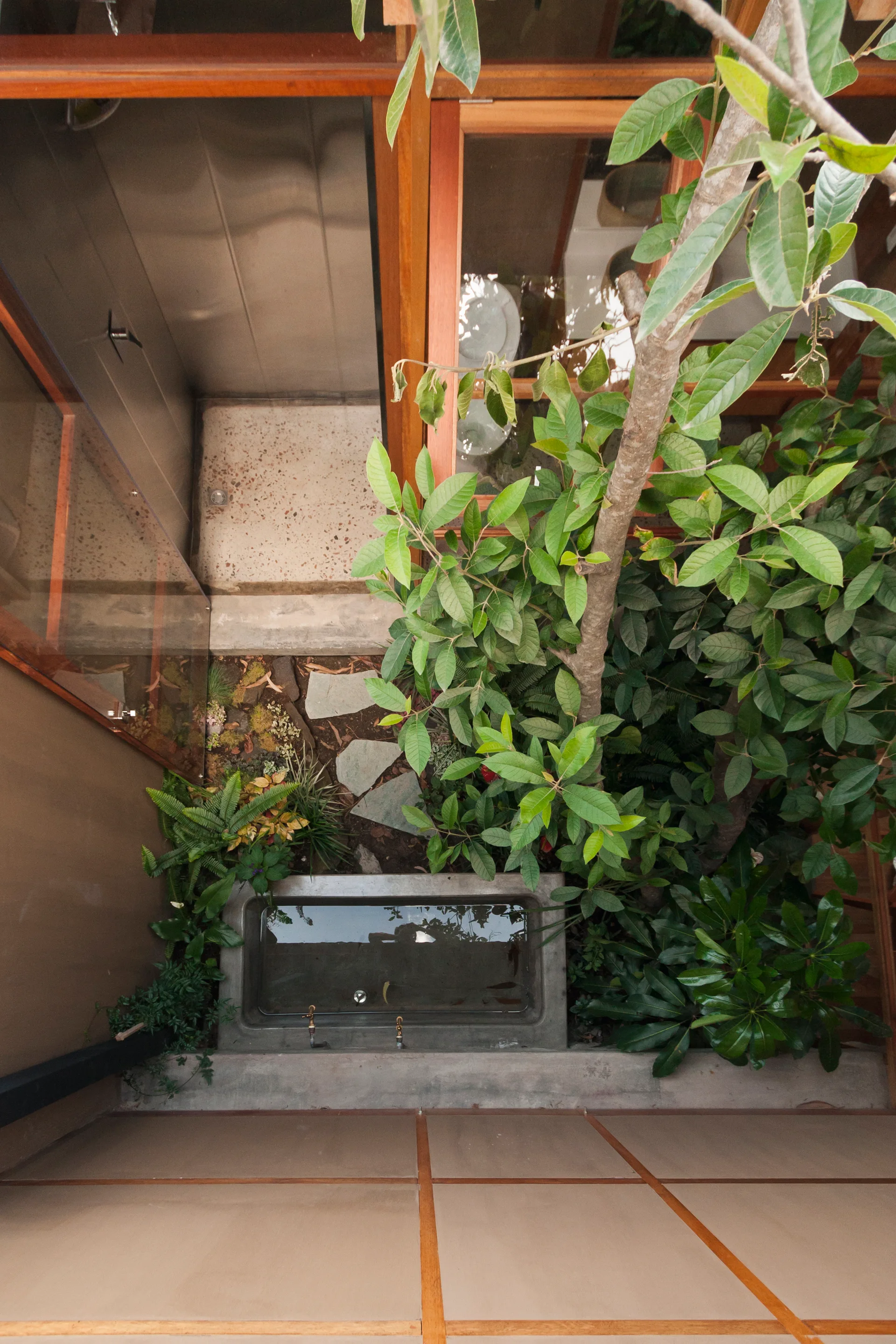 Overhead view of a bathroom featuring a sunken concrete bathtub next to an indoor garden with a living tree, stepping stones, and wood-framed glass.