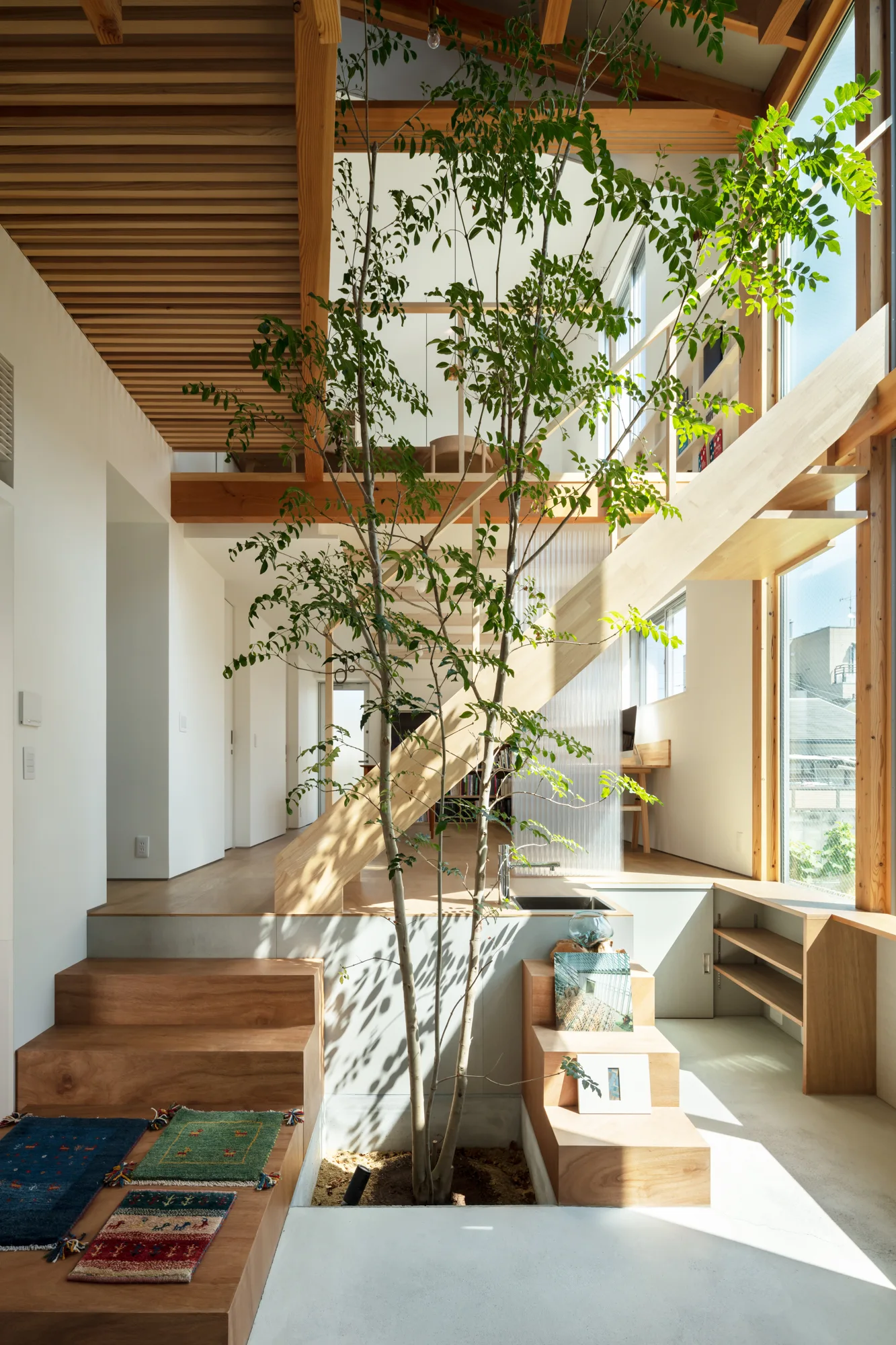 A multi-level modern home interior featuring a live tree growing from a concrete floor, surrounded by wooden steps, beams, and large windows.